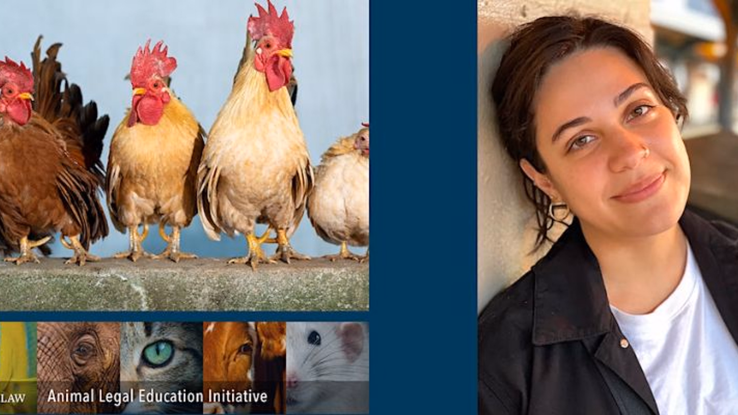 Alternative Pathways for Challenging Corporate Humanewashing