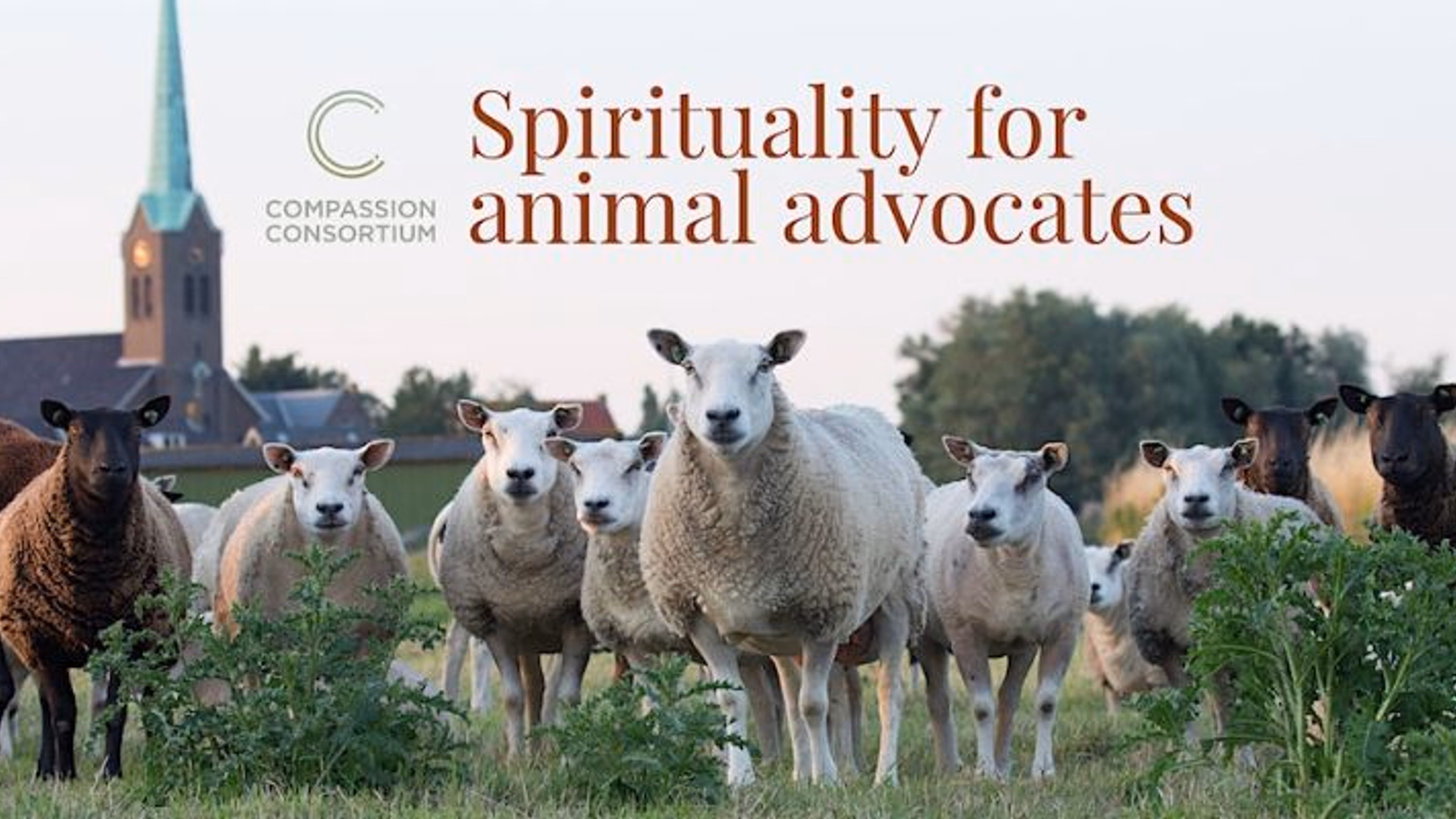 Spirituality for Animal Advocates & Vegans | Monthly Interfaith Service