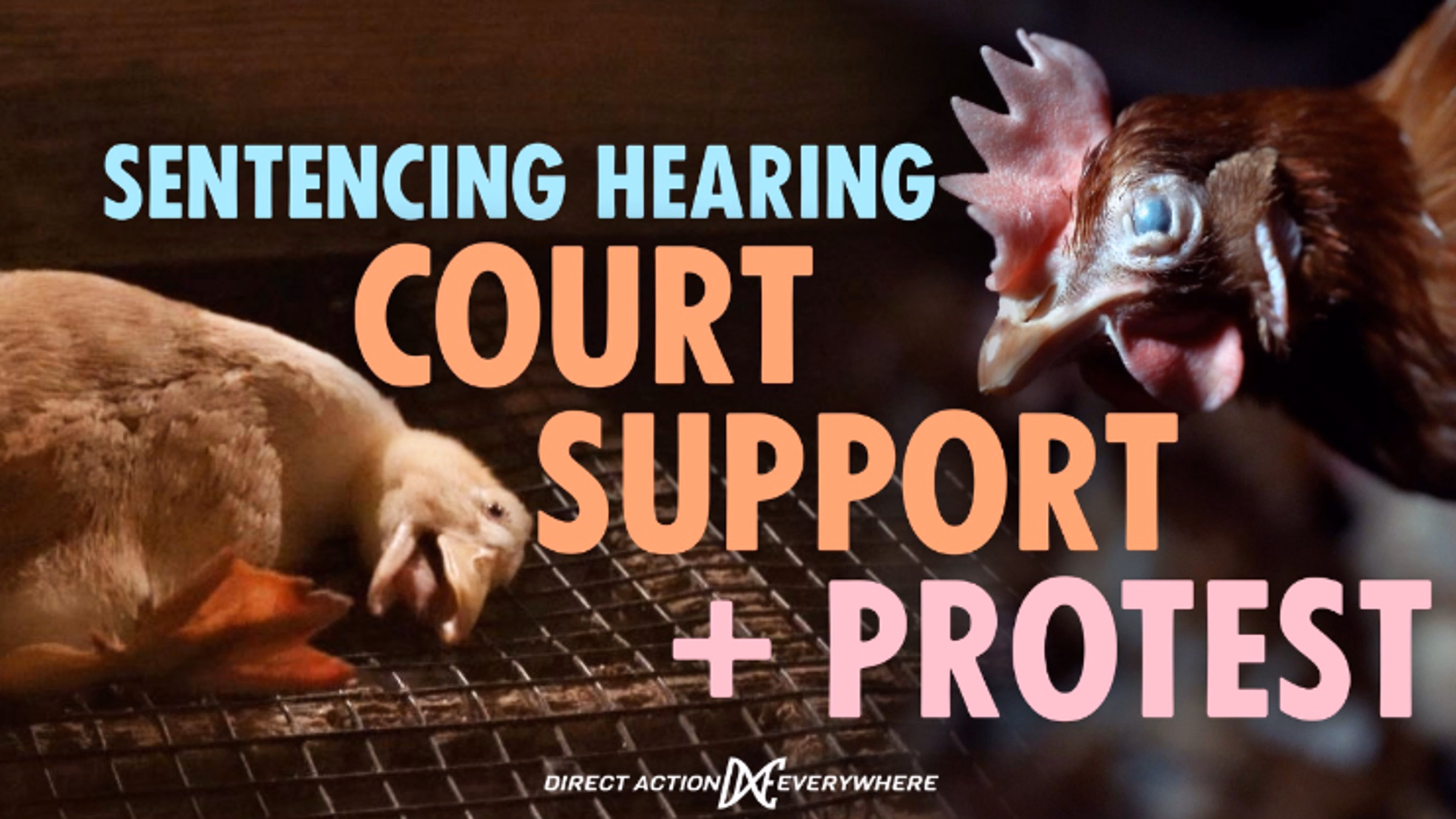 Sonoma Rescue Trial Sentencing Hearing Court Support + Protest