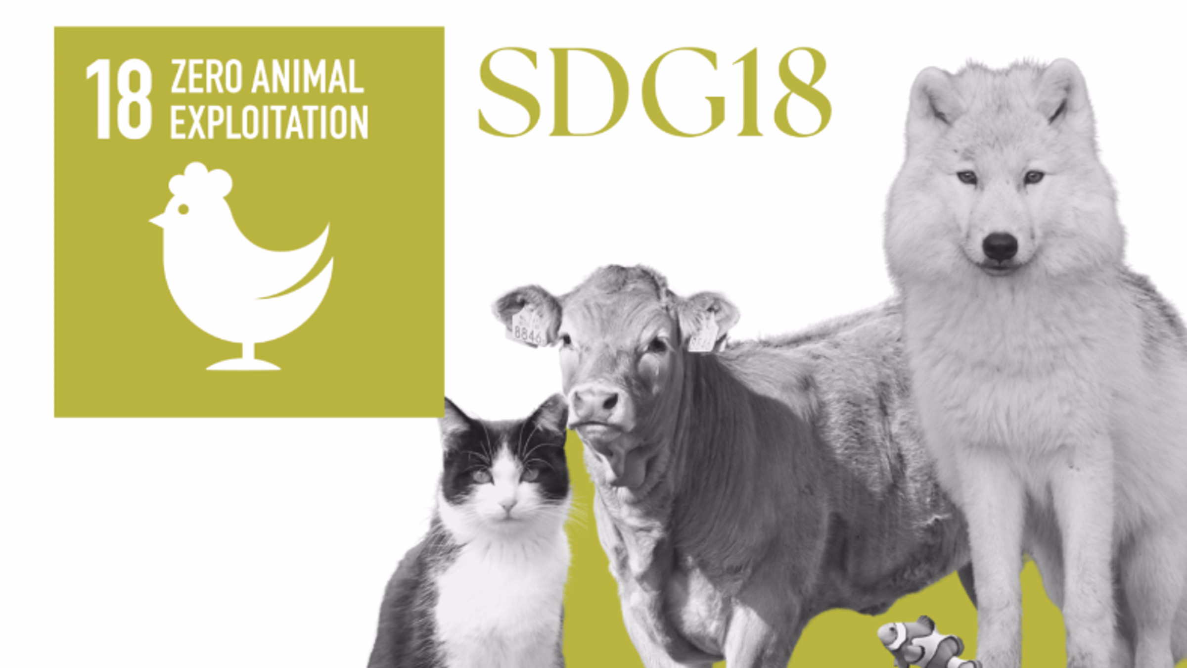 Introduction to SDG 18 - Zero Animal Exploitation