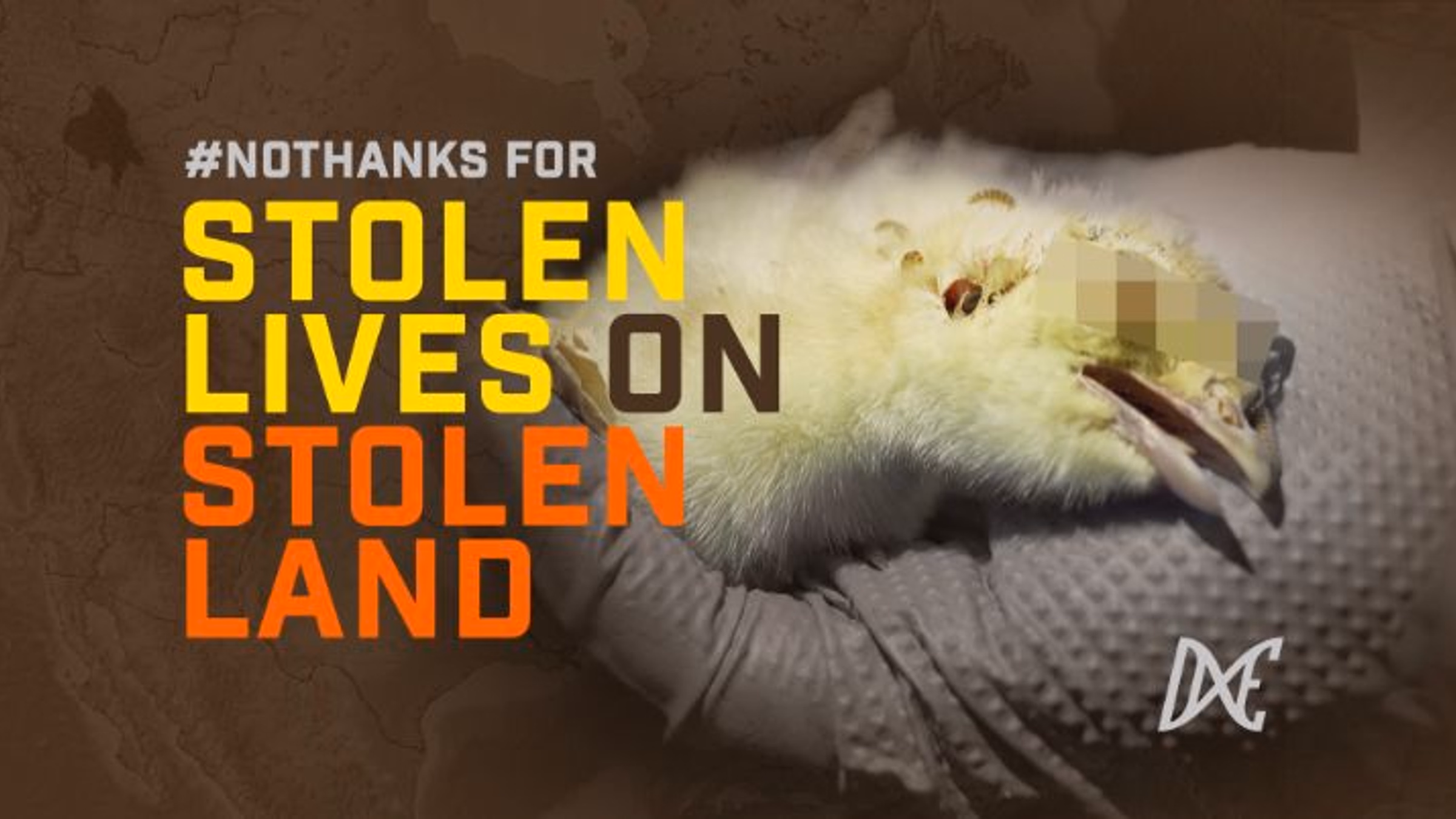 #NoThanks For Stolen Lives on Stolen Land