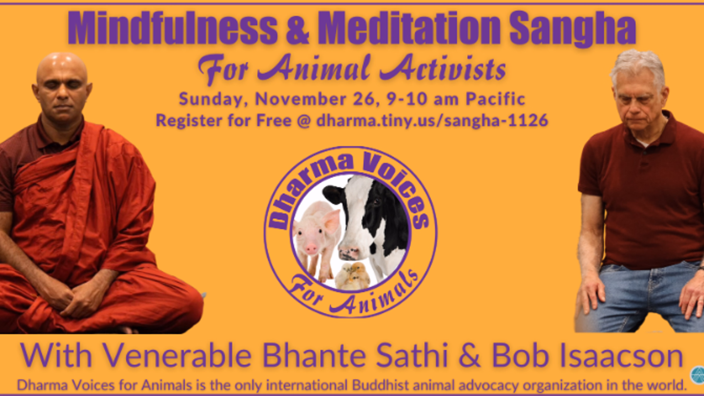DVA's free, virtual Mindfulness & Meditation Sangha for Animal Activists