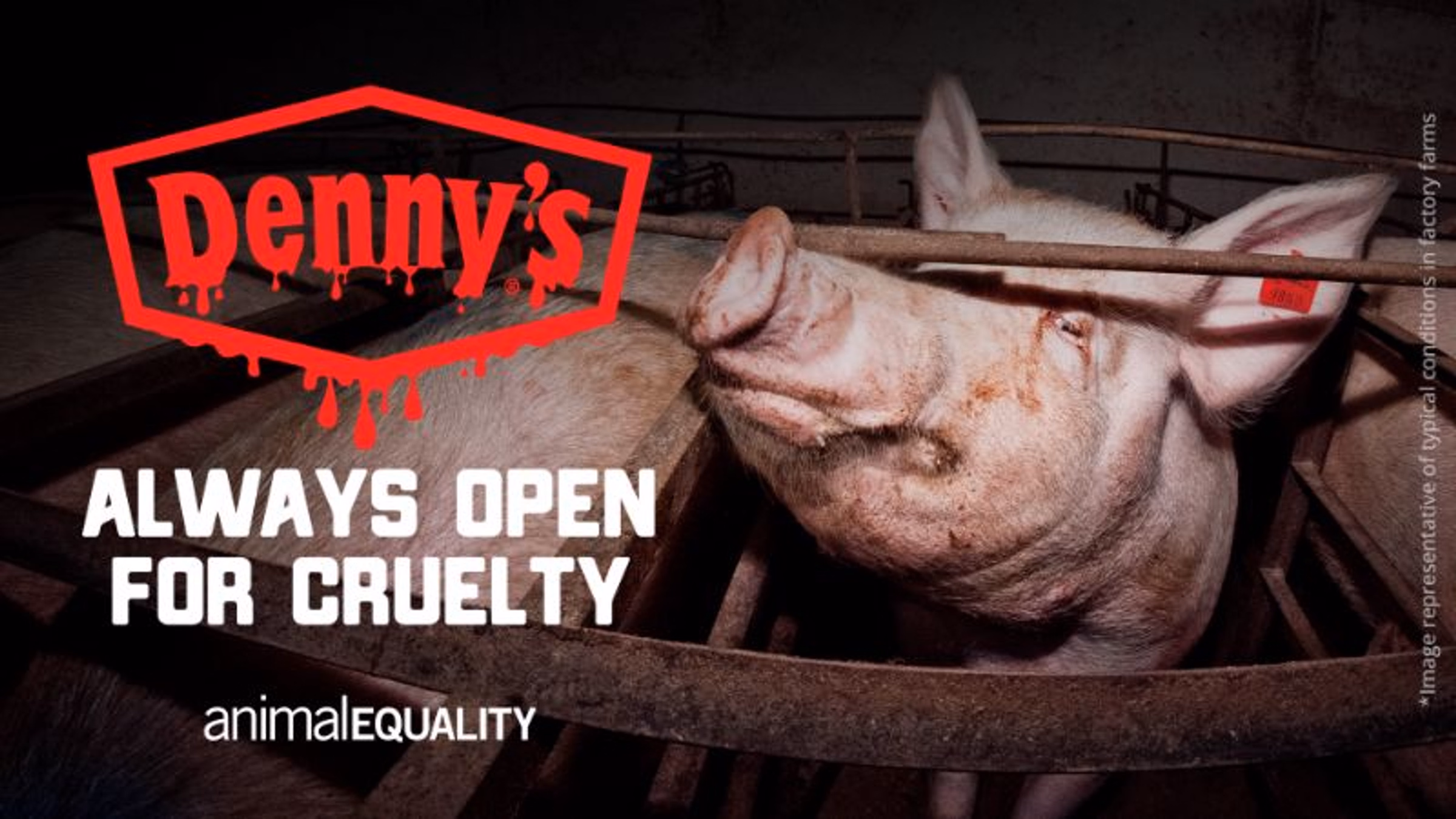Protest Extreme Cruelty Denny's is Allowing