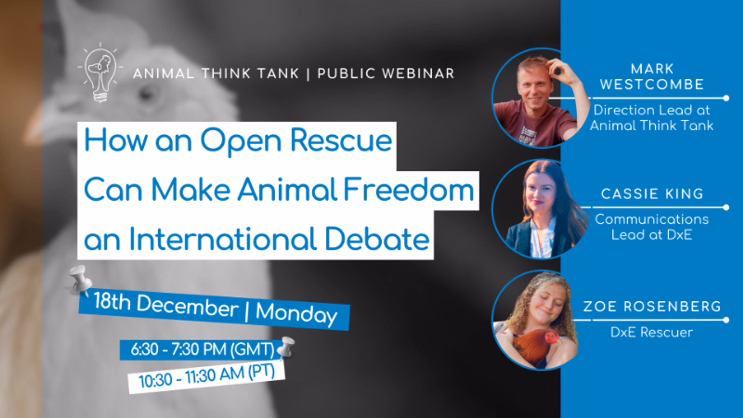 How an Open Rescue Can Make Animal Freedom an International Debate