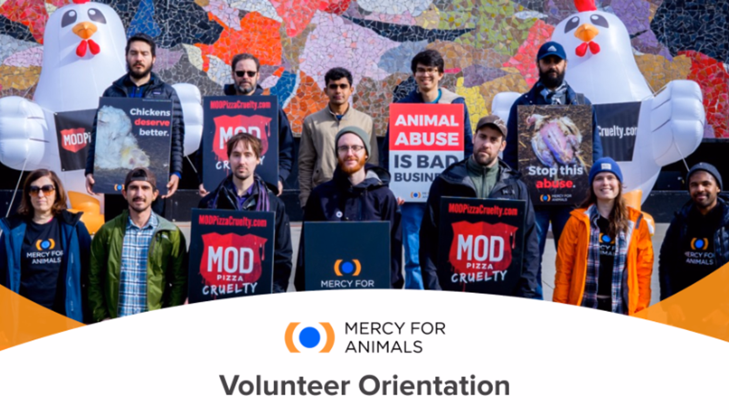 Mercy For Animals Volunteer Orientation