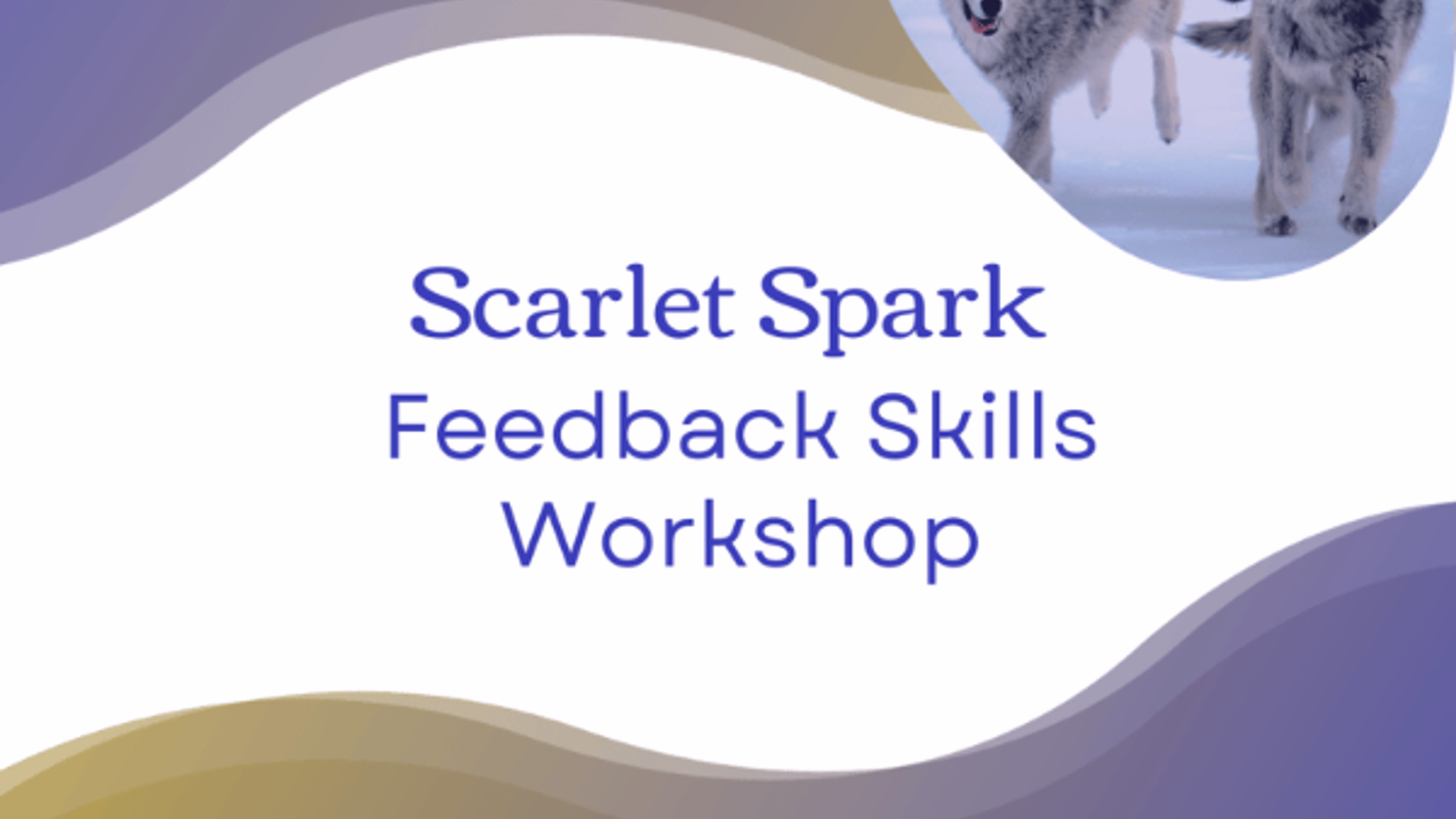 Scarlet Spark Feedback Skills Workshop