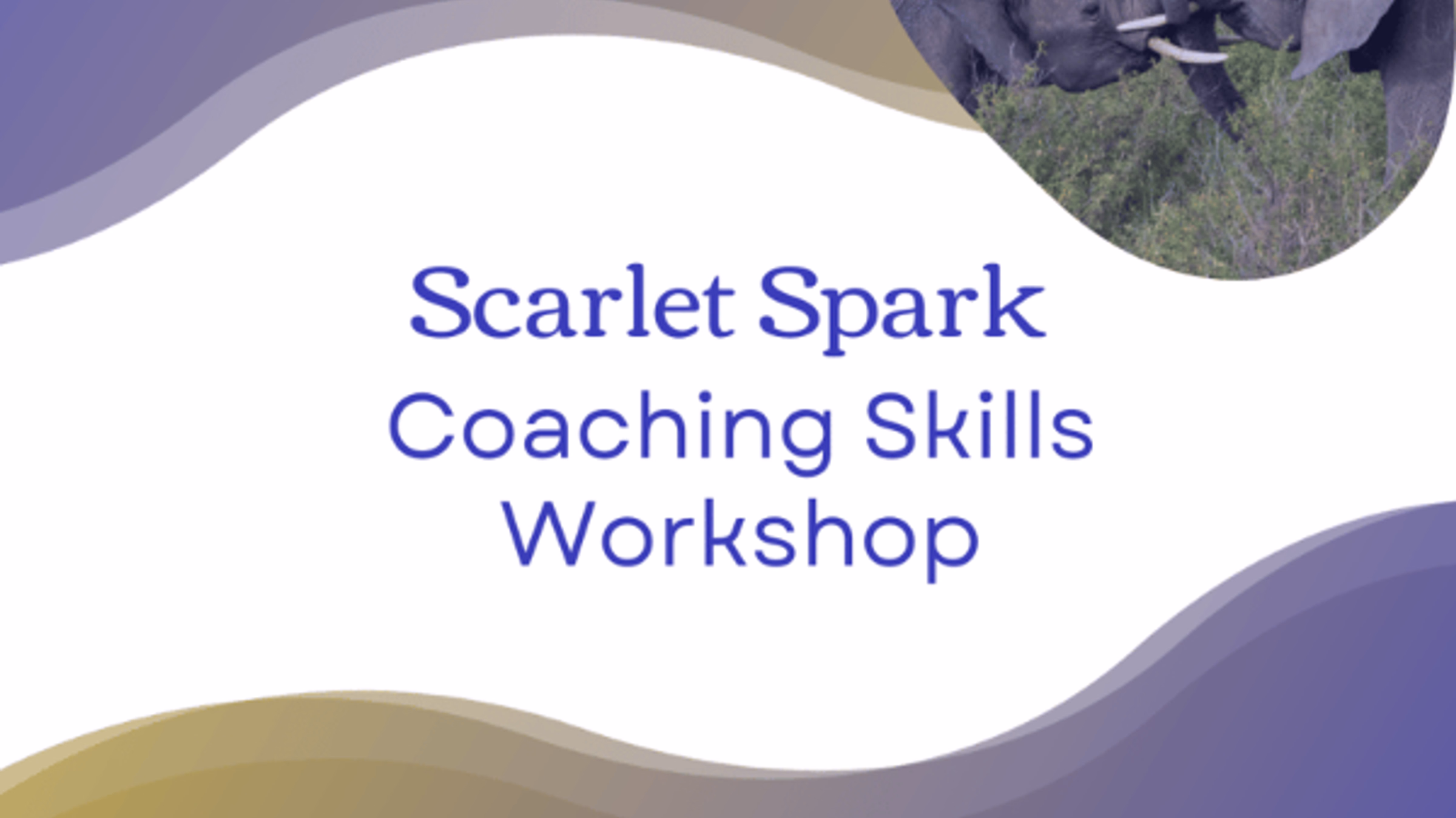 Scarlet Spark Coaching Skills Workshop