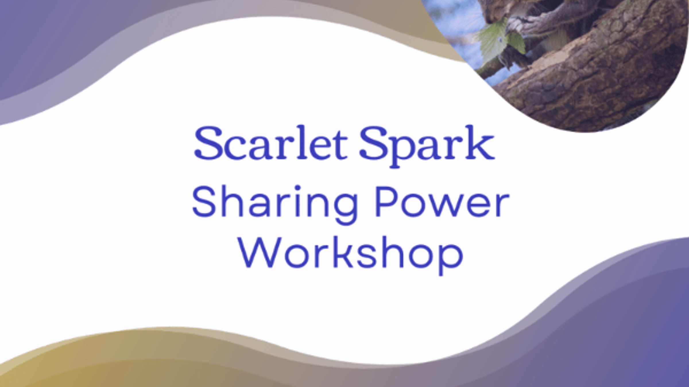 Scarlet Spark Sharing Power Workshop
