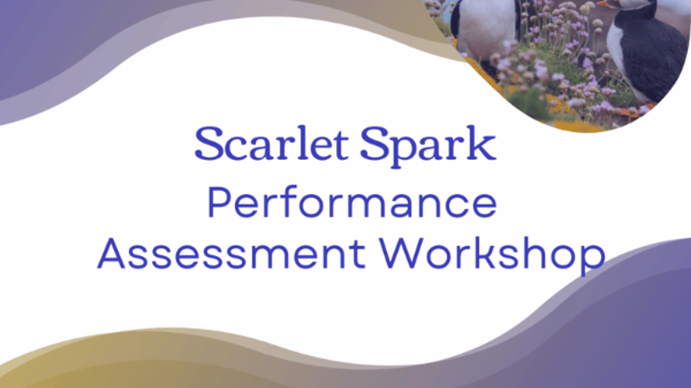 Scarlet Spark Performance Assessment Workshop