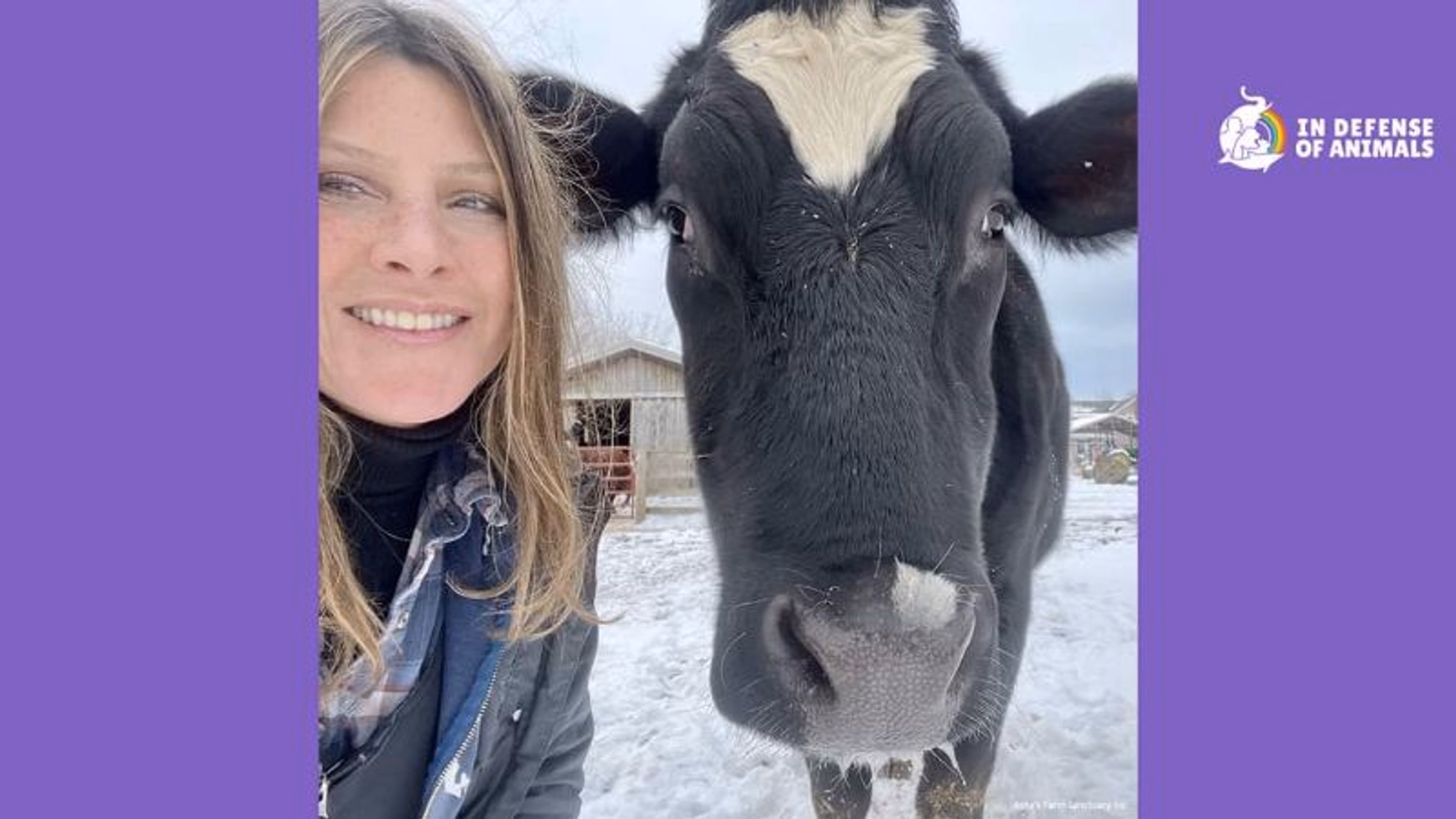 Tracy Murphy Arrested for Rescuing Escaped Cows