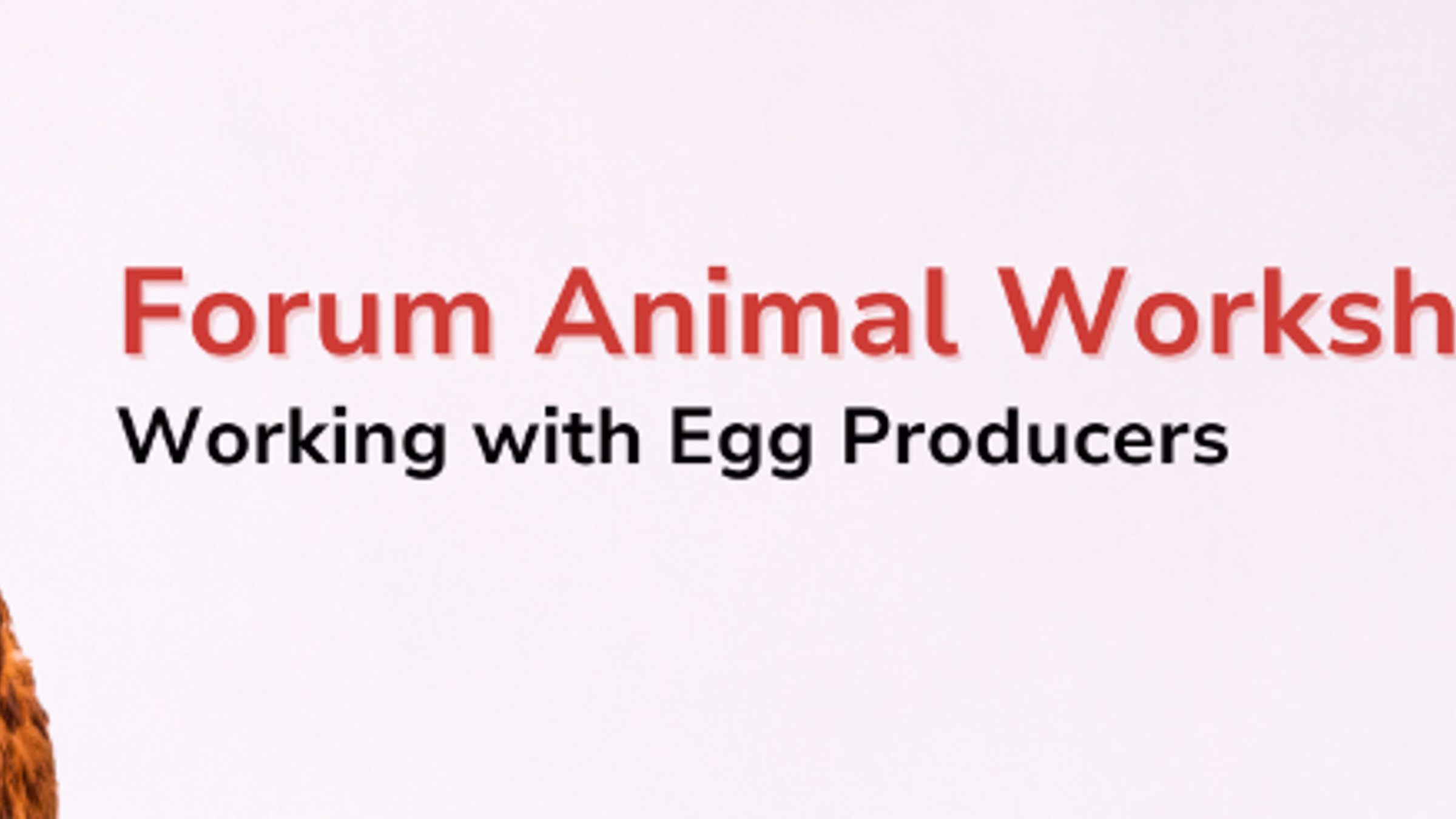 Forum Animal Workshop: Working with Egg Producers