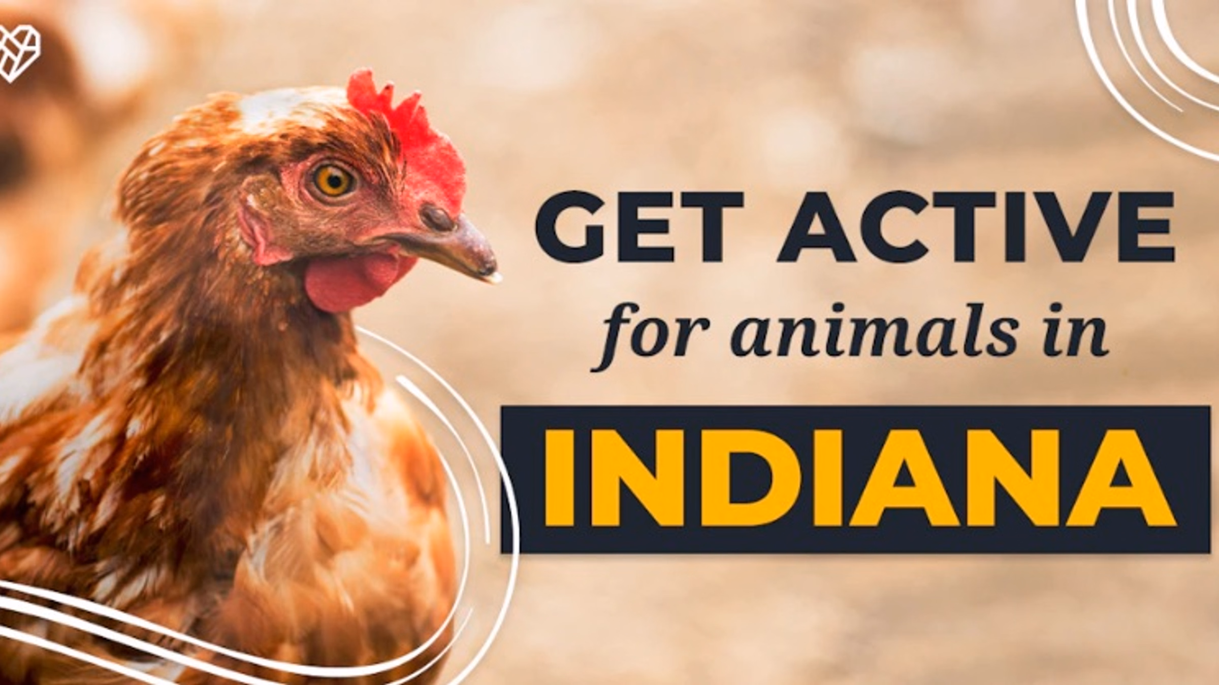 💻 🐓 Hoosiers Help Hens: Virtual Action Meetup