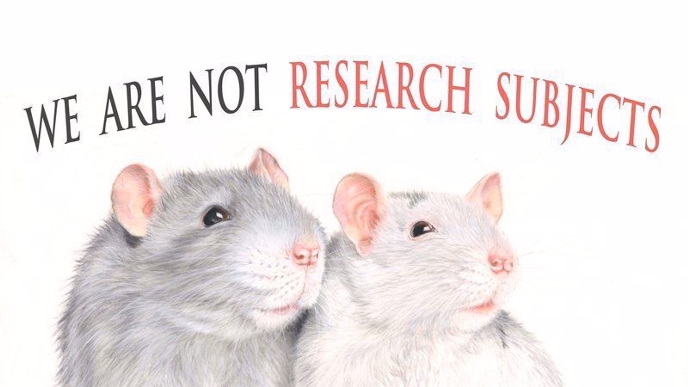 University of Florida, STOP TESTING ON ANIMALS! UF Named Worst in Florida for Animal Experimentation