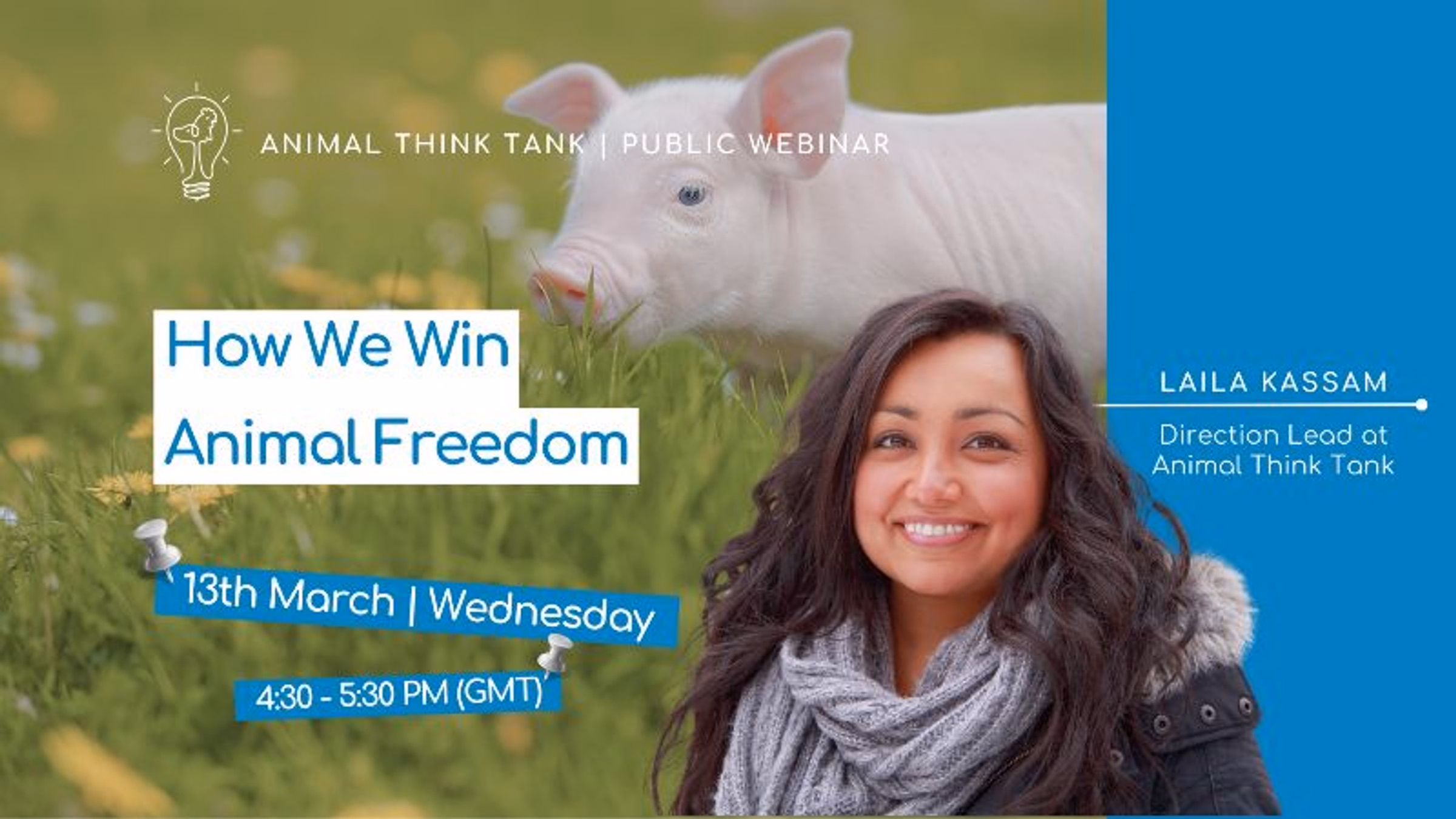 How We Win Animal Freedom