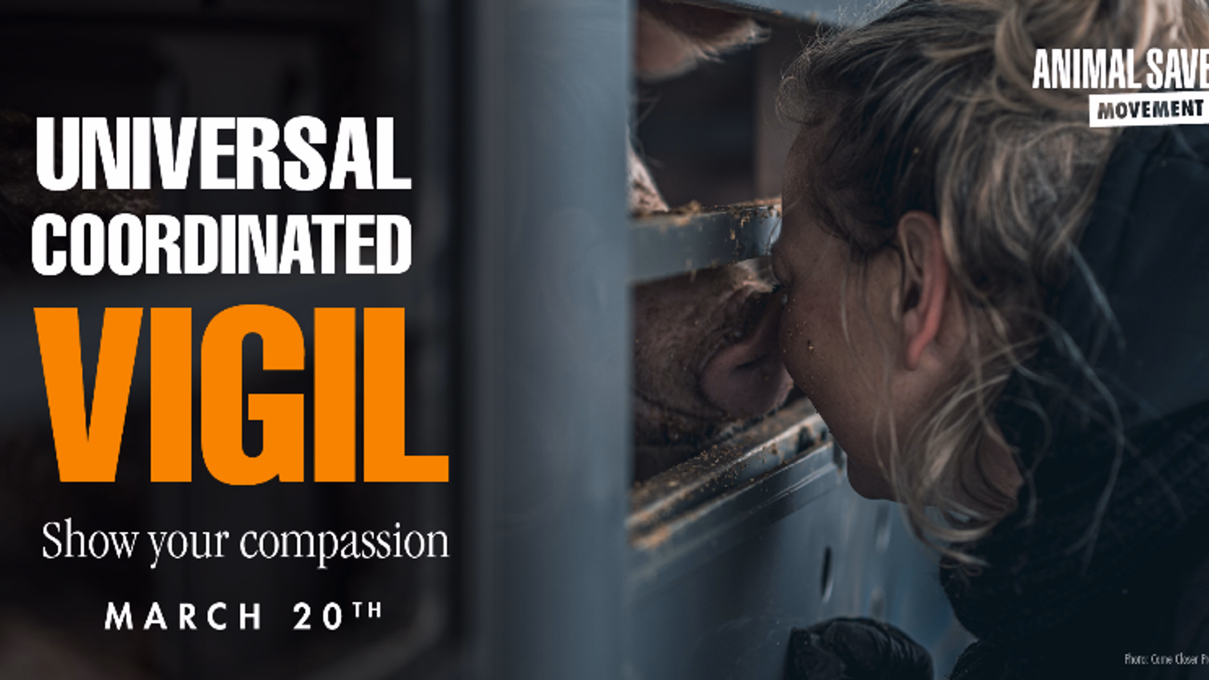 Universal Coordinated Vigil for Animals