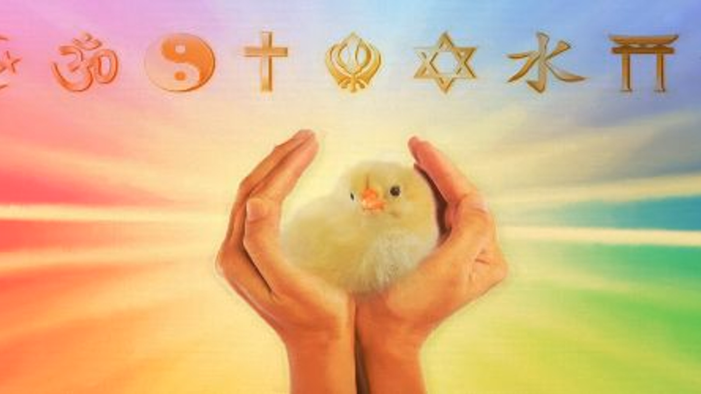 Interfaith Vegan Coalition's April Meeting