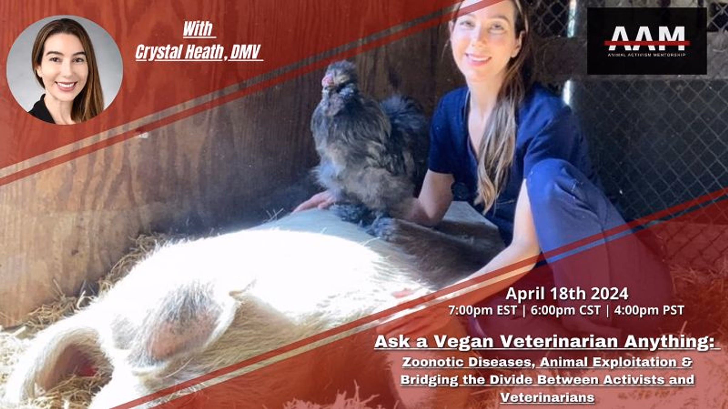 AAM: Ask a Vegan Veterinarian Anything - Bridging the Divide between Activists & Veterinarians