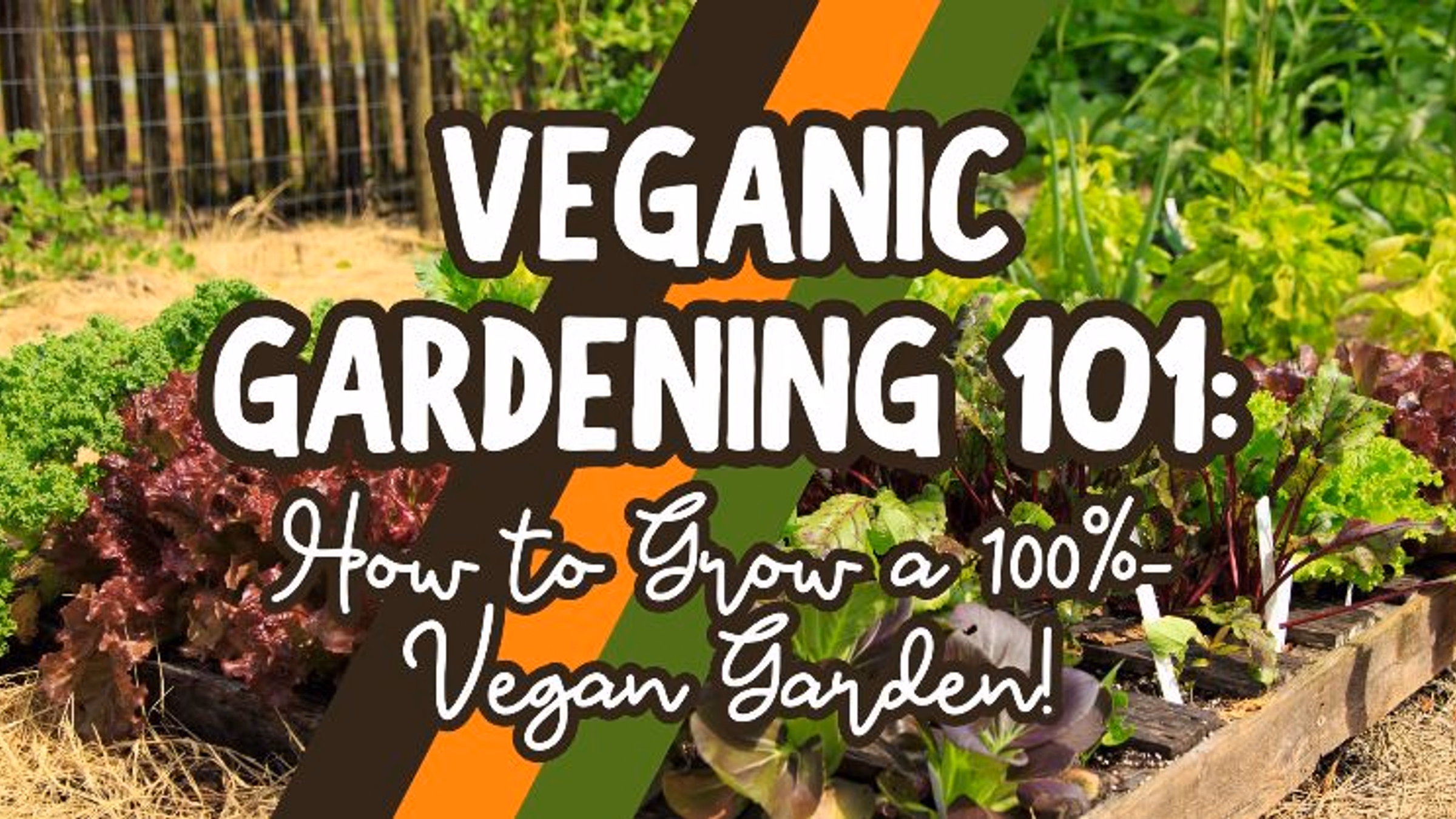 Veganic Gardening 101: How to Grow a 100% Vegan Garden
