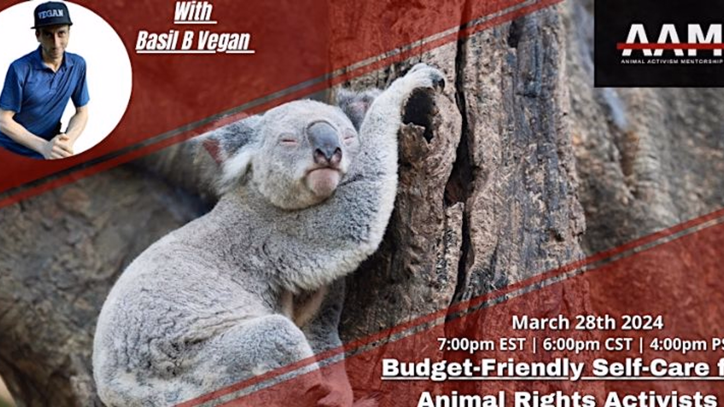 Budget-friendly Self-Care for Animal Rights Activists