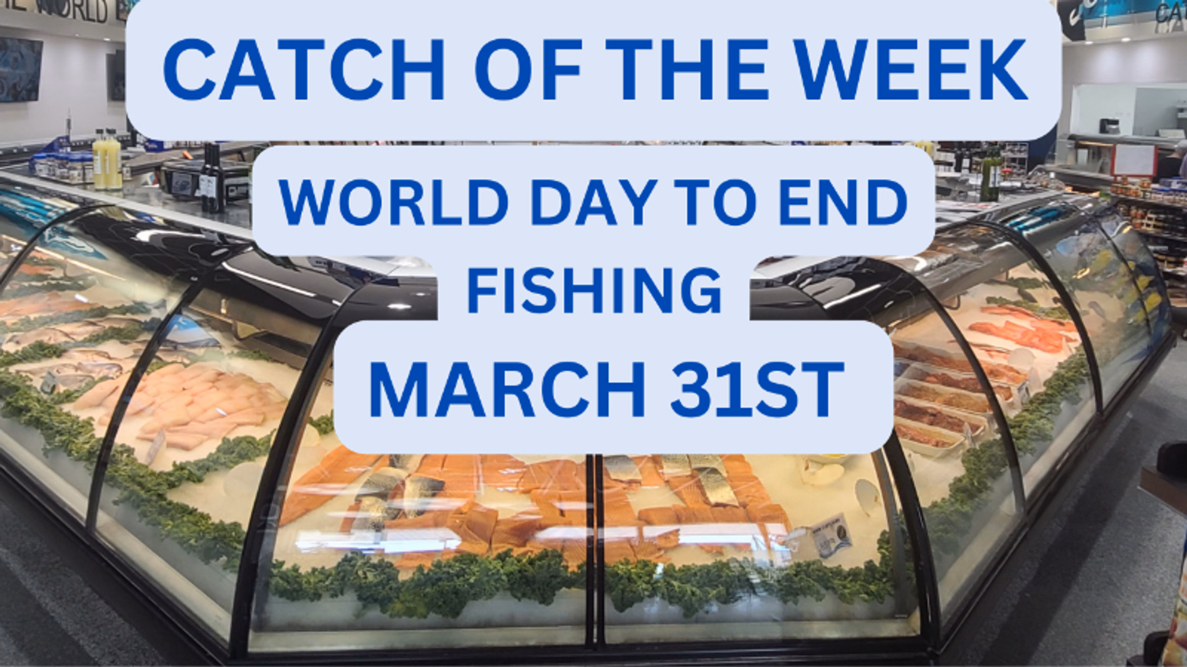 World Day to End Fishing