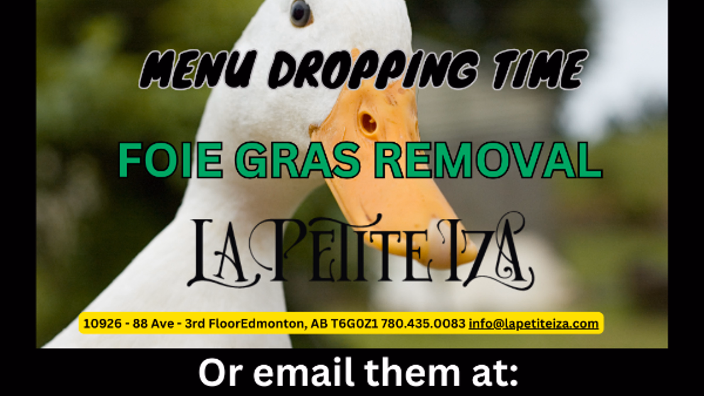 Menu Dropping Campaign #2