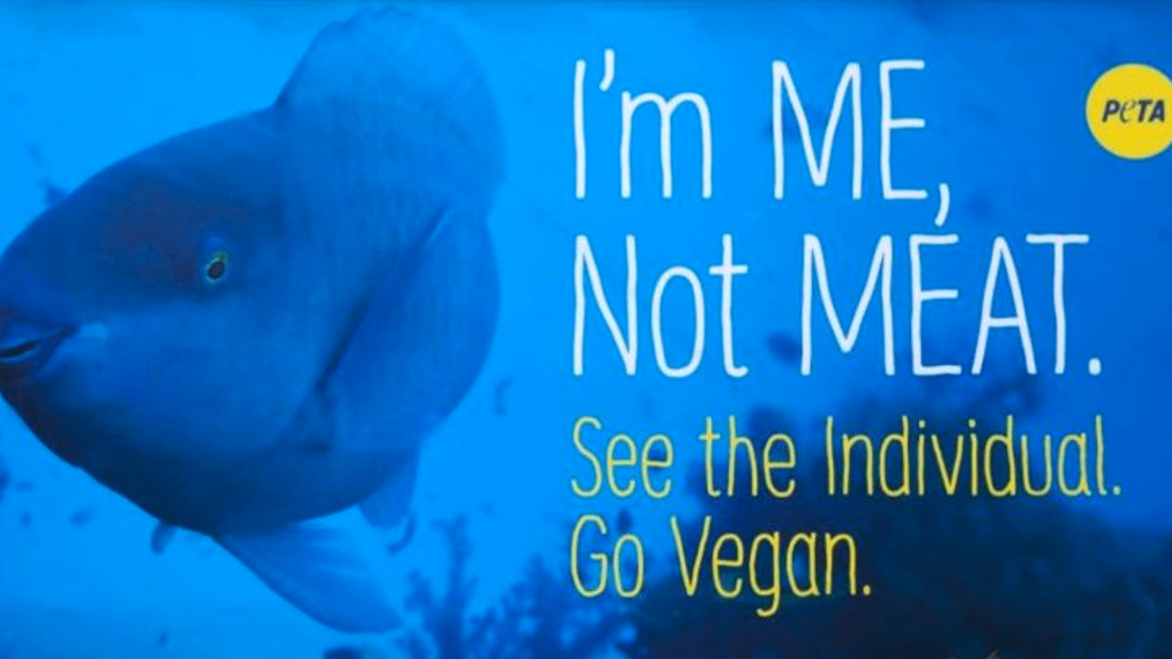 Video Outreach for World Day for the End of Fishing