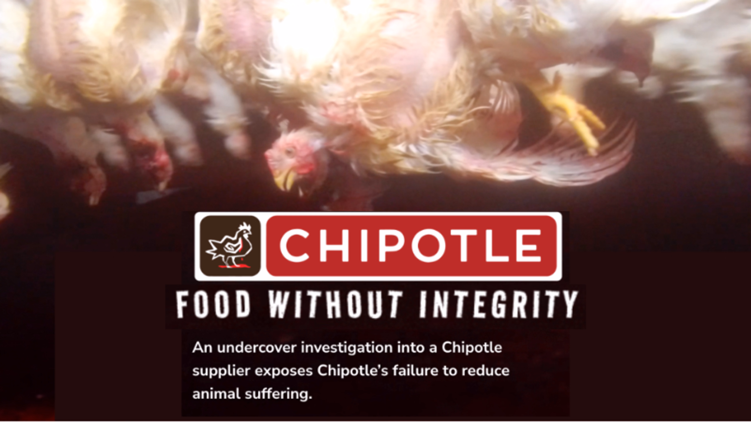 Protest to Expose Chipotle's Cruelty (Union Square, NYC)