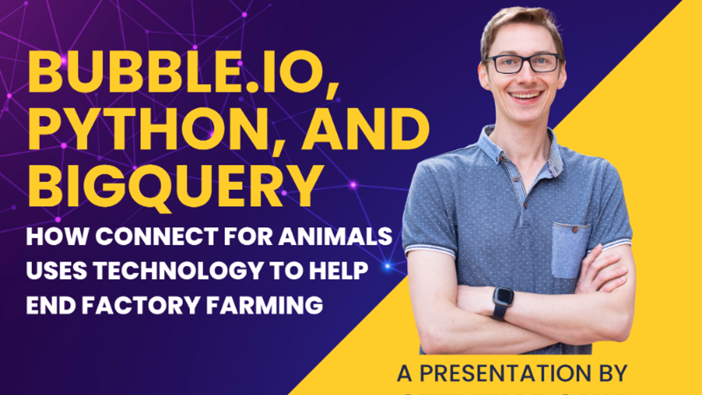 Bubble.io, Python, and BigQuery: How Connect For Animals Uses Technology To Help End Factory Farming