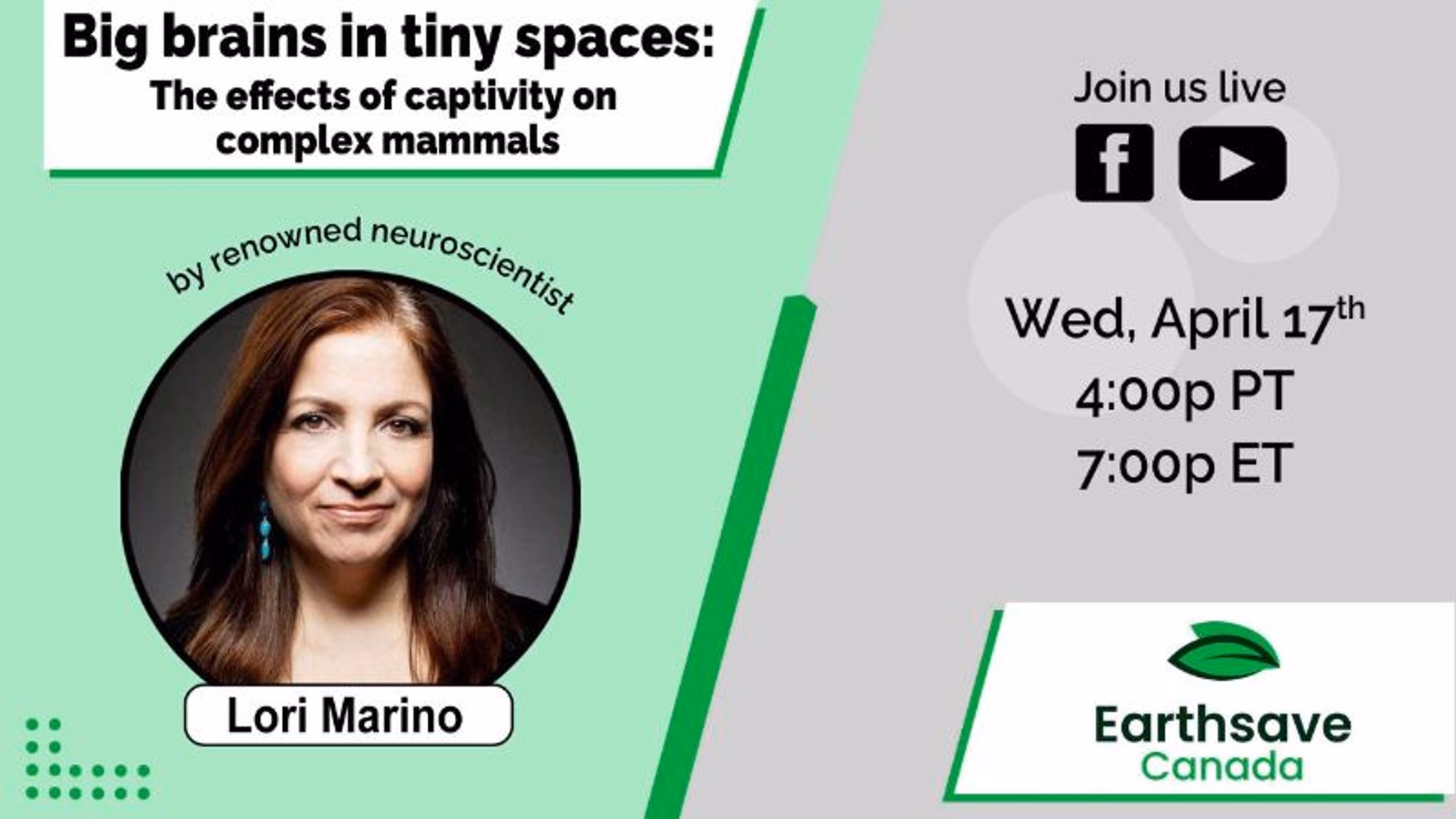 Big brains in tiny spaces: The effects of captivity on complex mammals