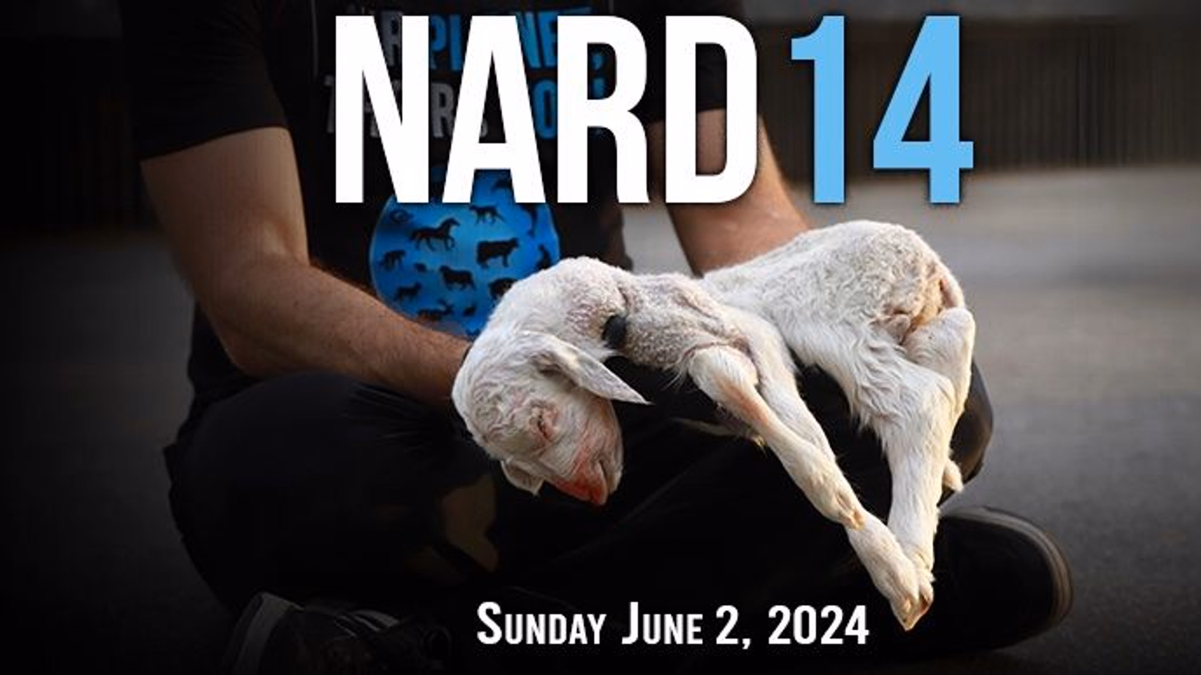 The 14th National Animal Rights Day! ✊💙