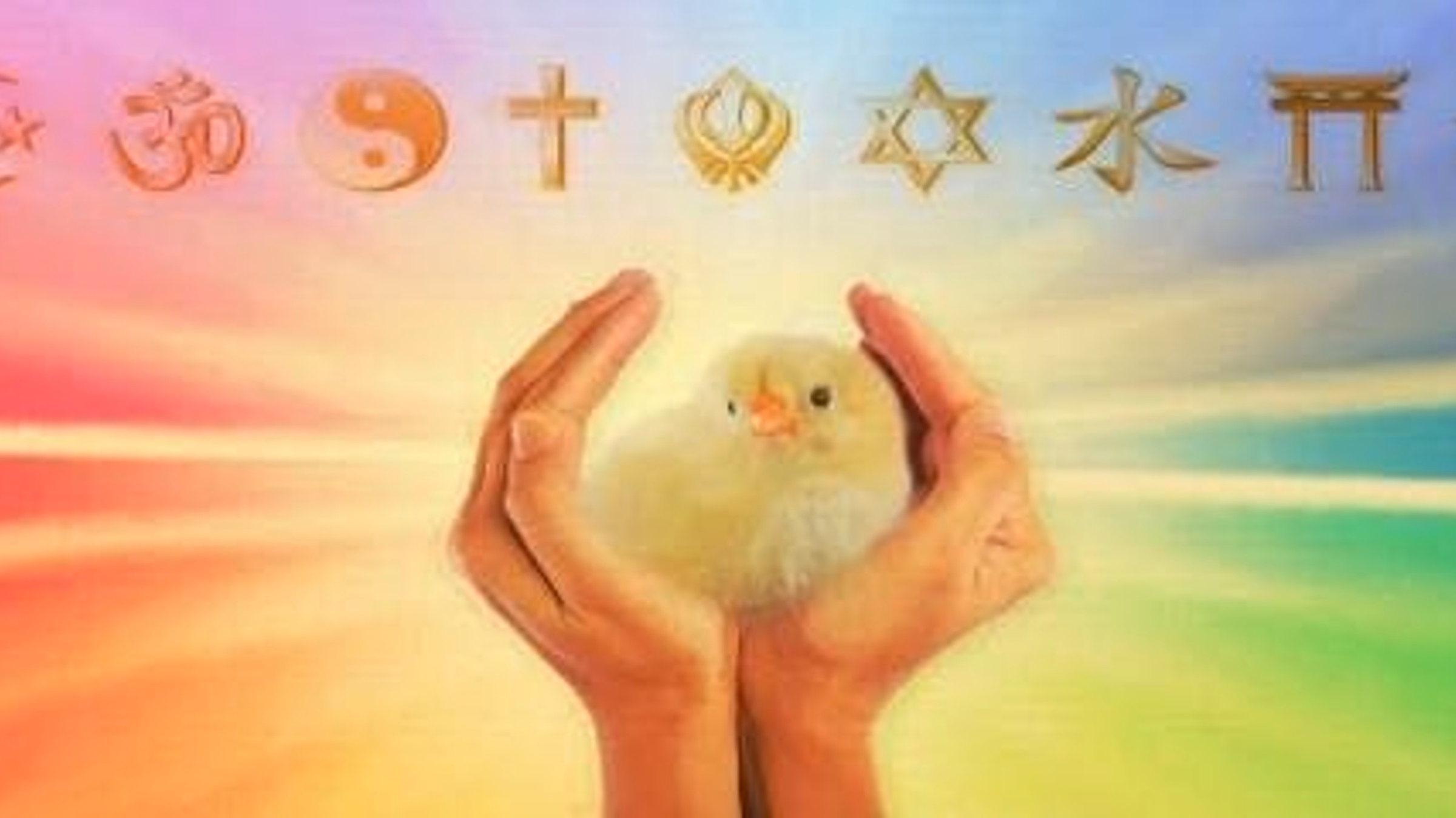 Interfaith Vegan Coalition's May Meeting