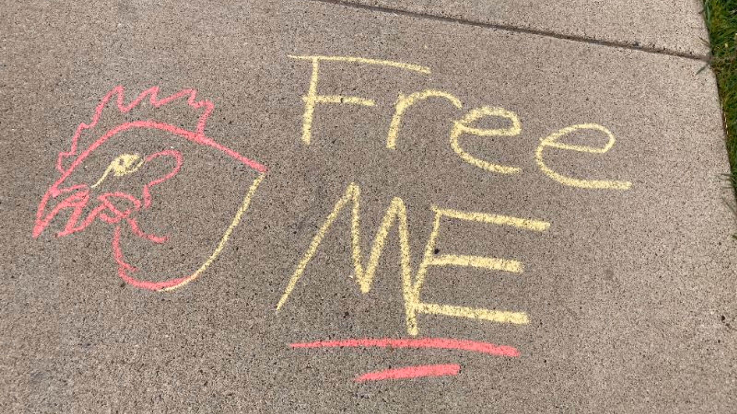 Protest against Hardee's: Drop cruel cages now! 🐔