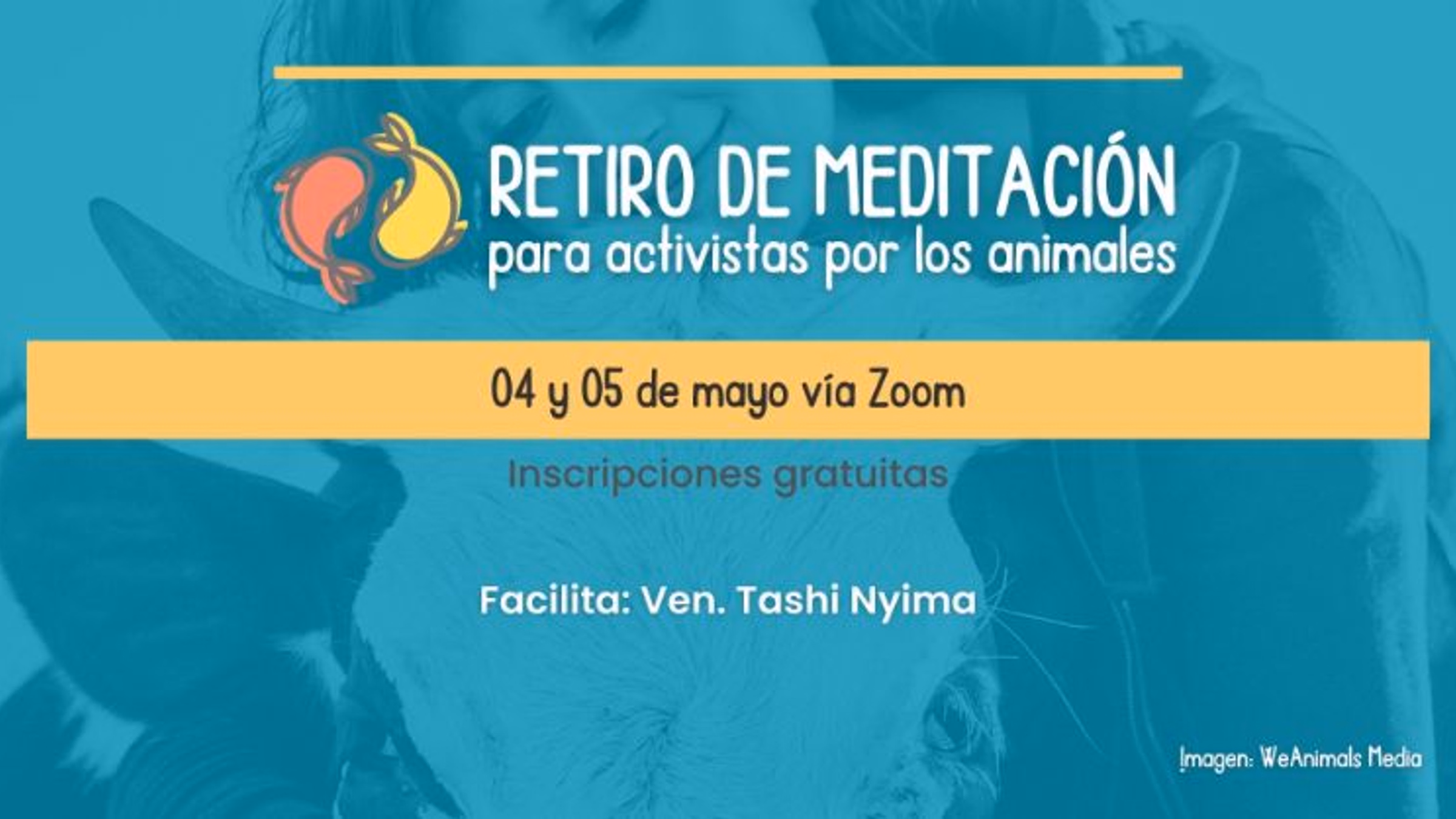 Virtual Animal Advocacy Meditation Retreat in Spanish