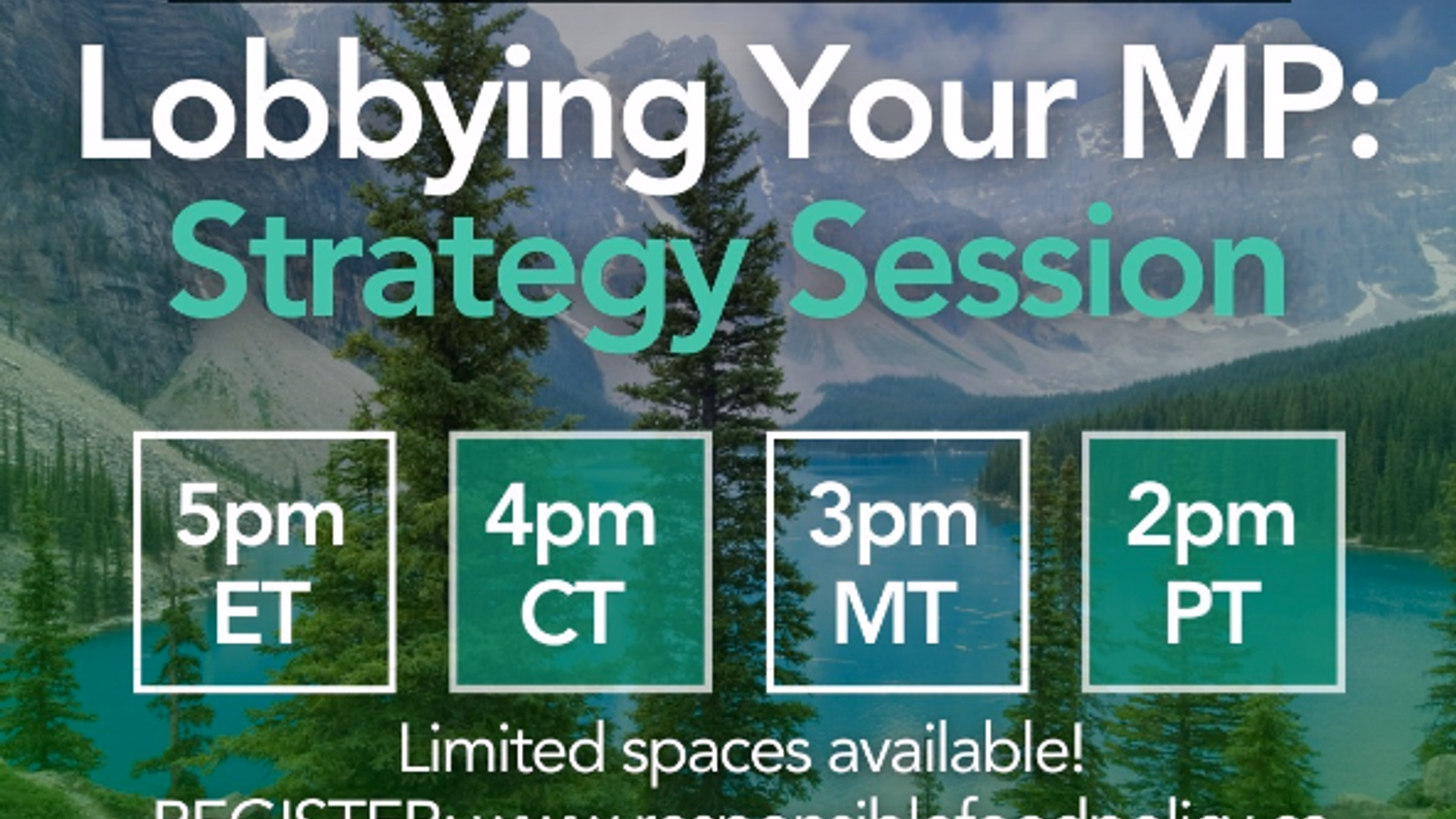 Lobbying Your MP: Strategy Session