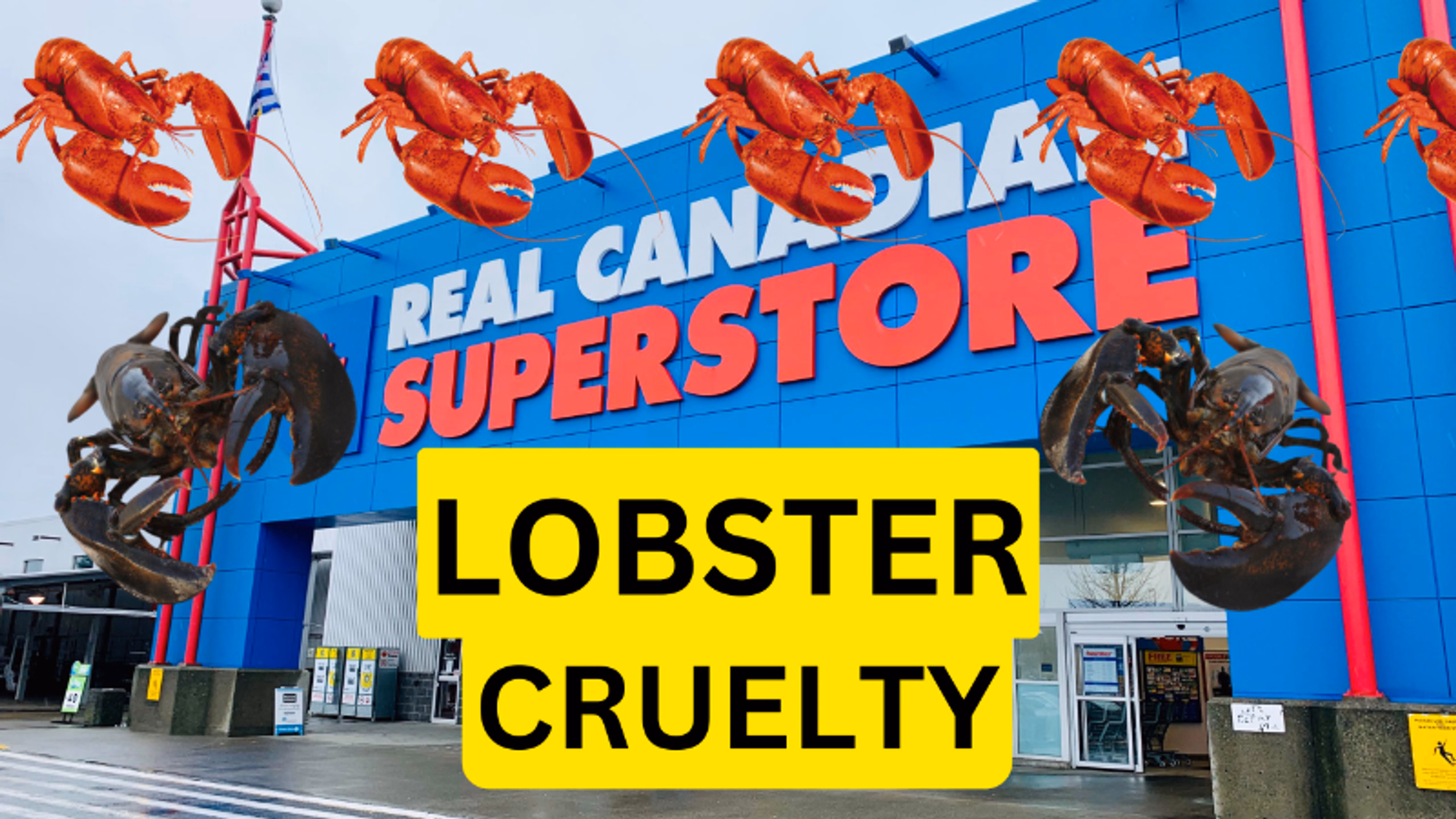 Lobster Letter Campaign (SuperStore)