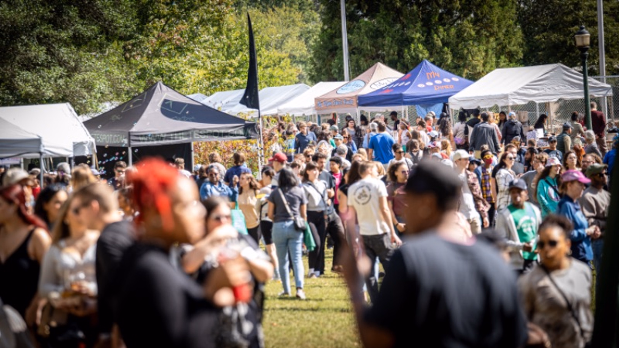 2024 VegFest