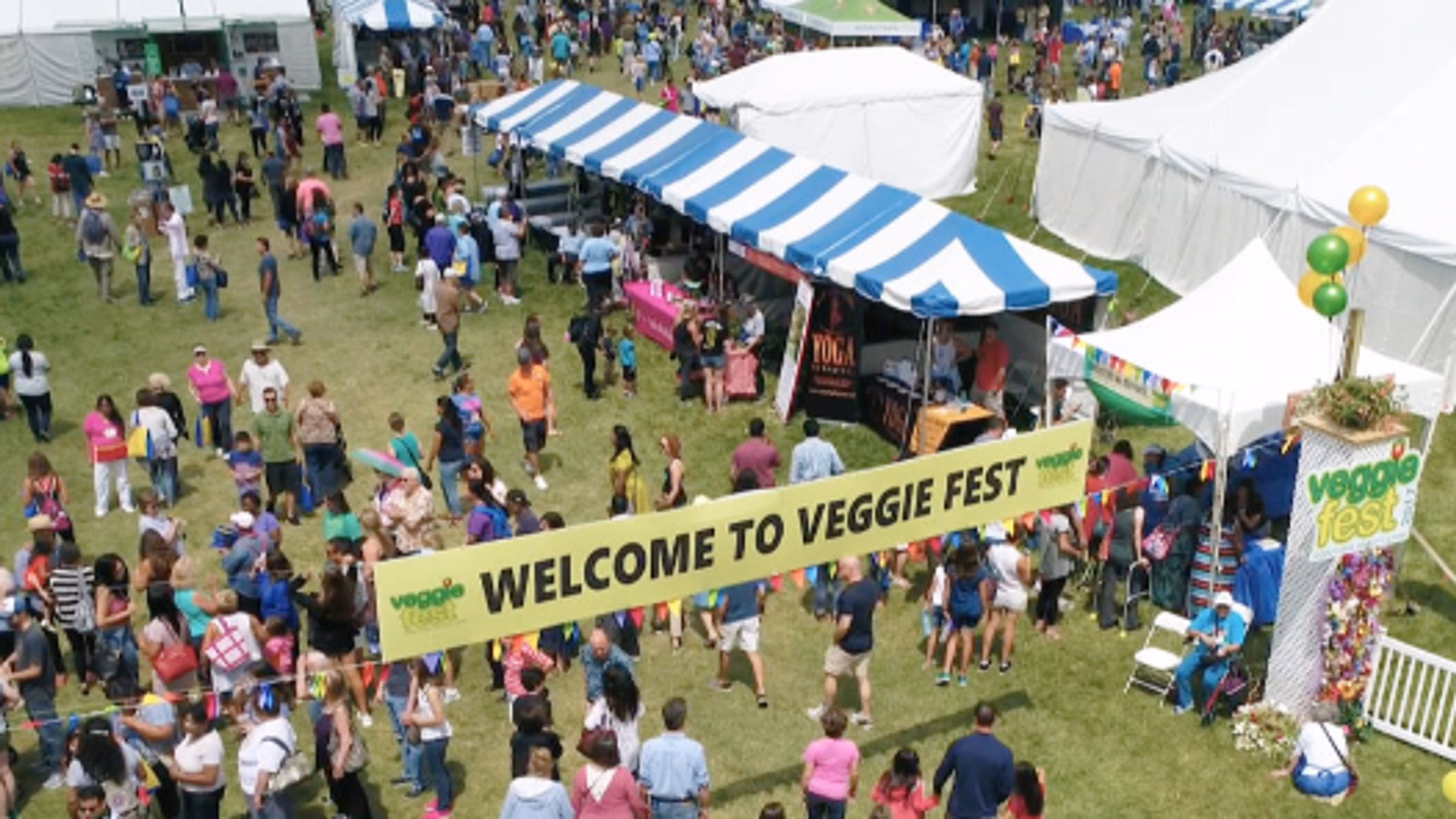 Veggie Fest Chicago 2025