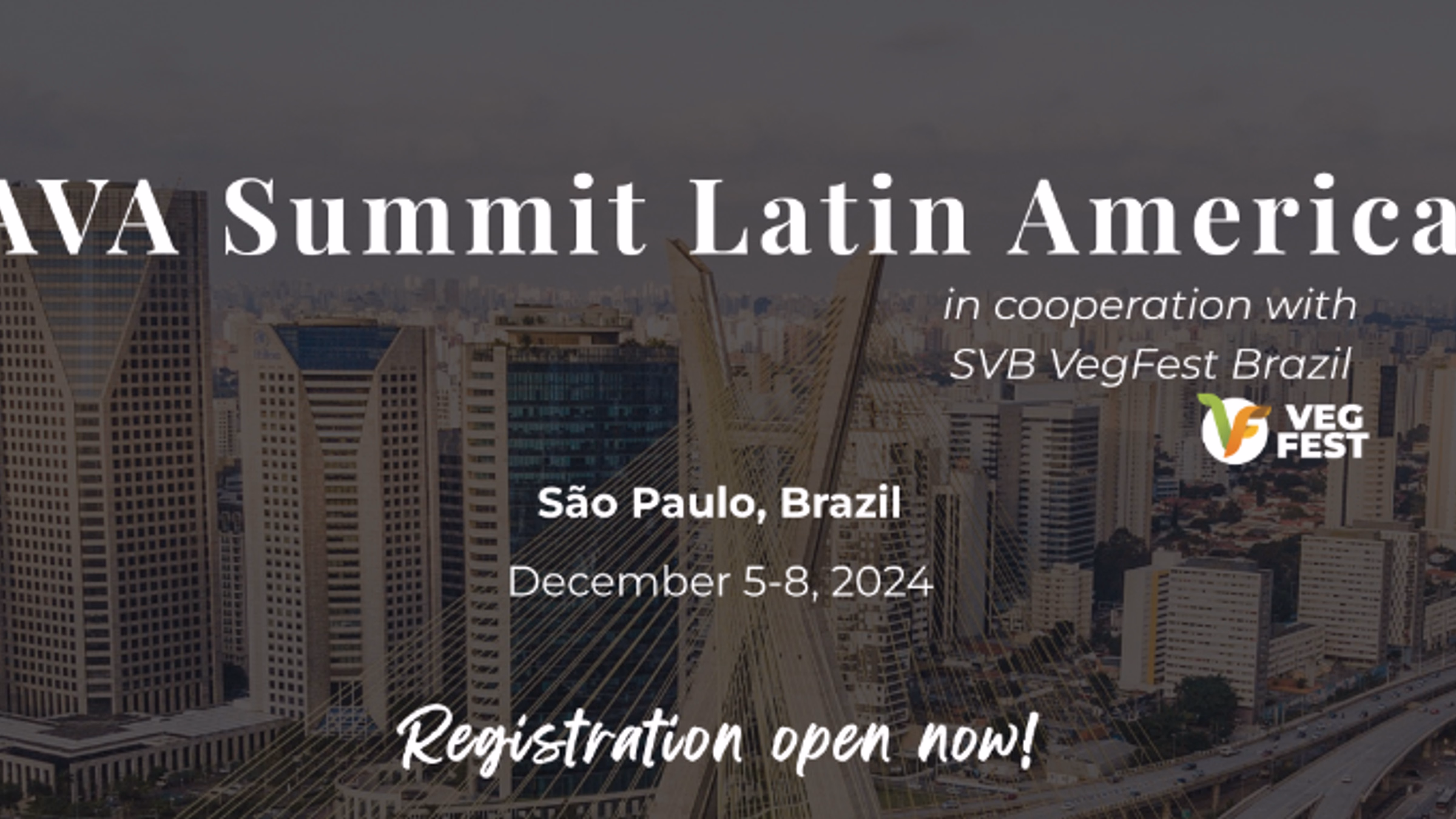 AVA Summit Latin America