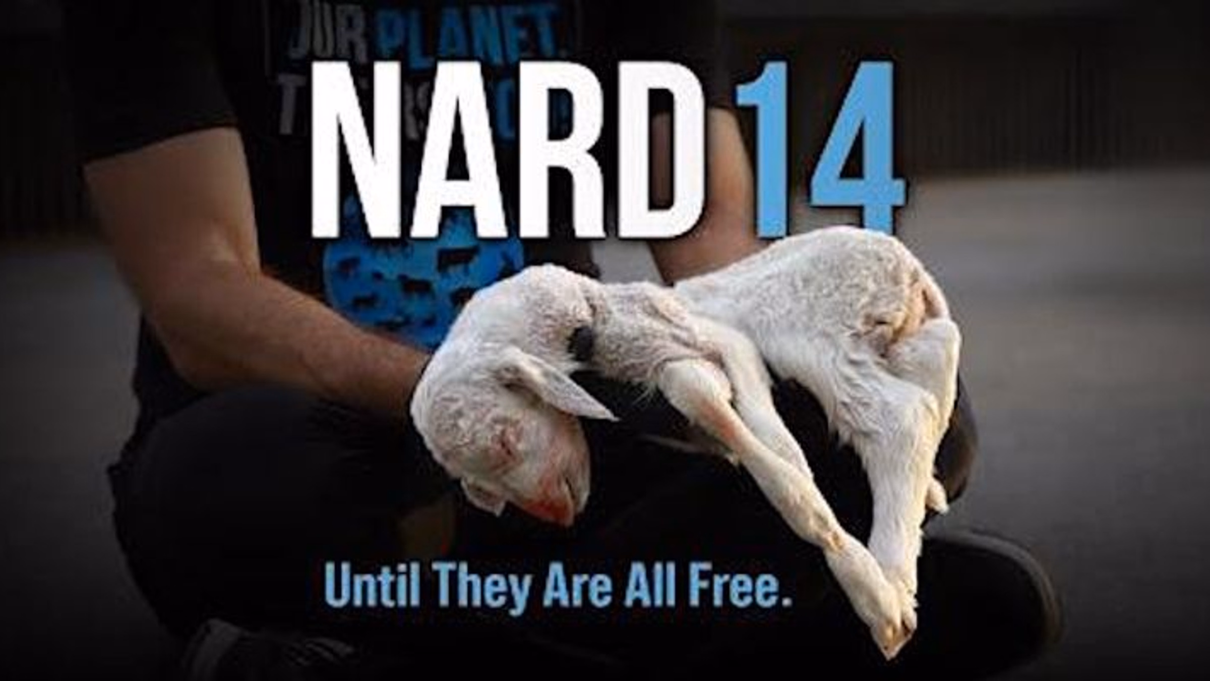 National Animal Rights Day in Austin!
