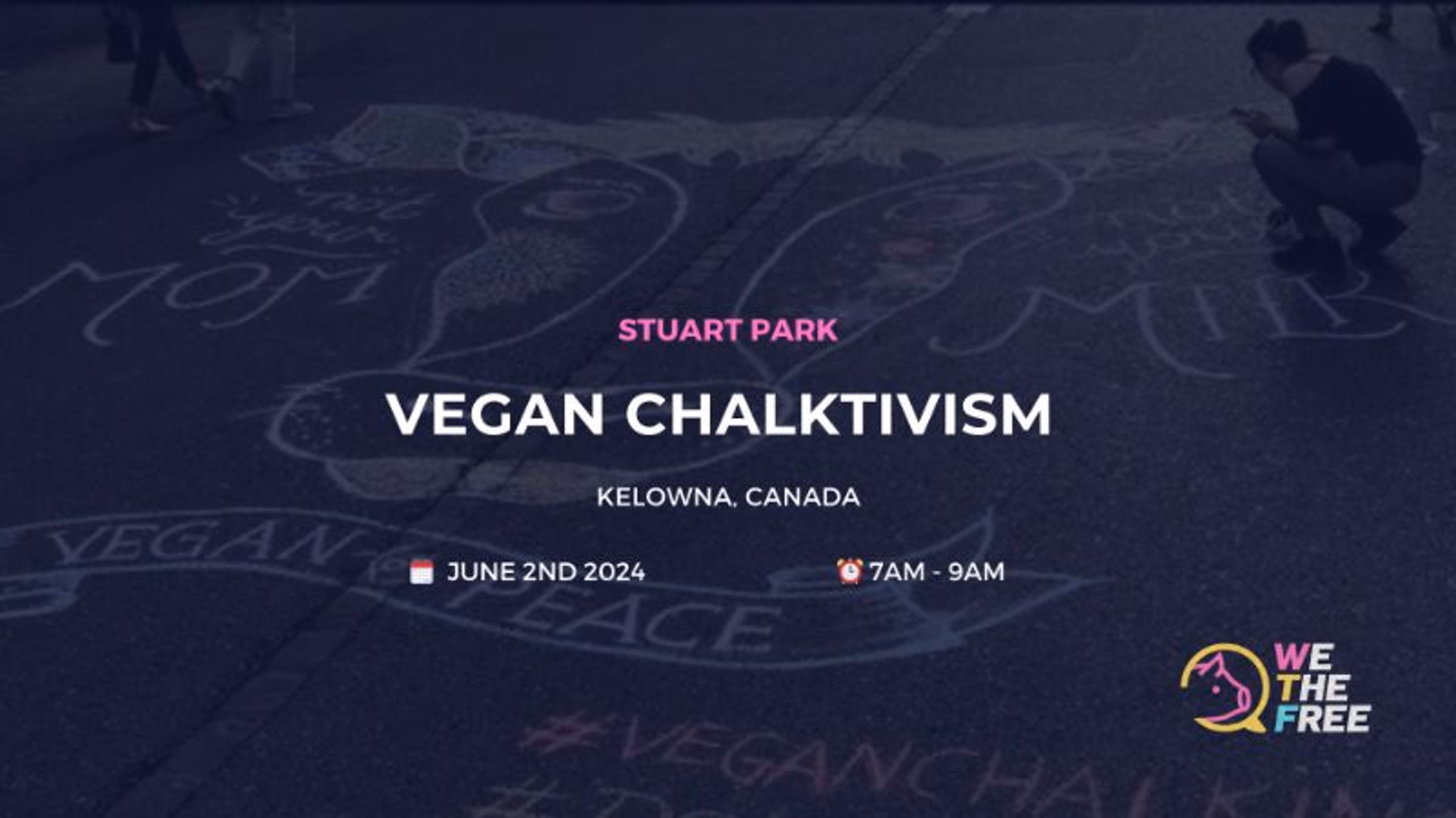 WTF Kelowna Vegan Chalktivism