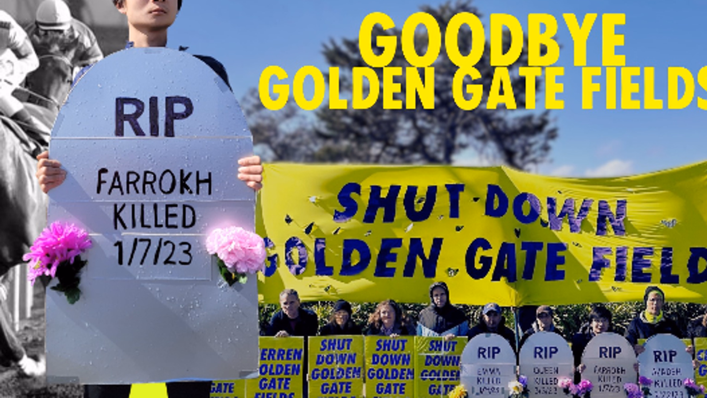 Animal Rights Meetup: Goodbye Golden Gates Fields