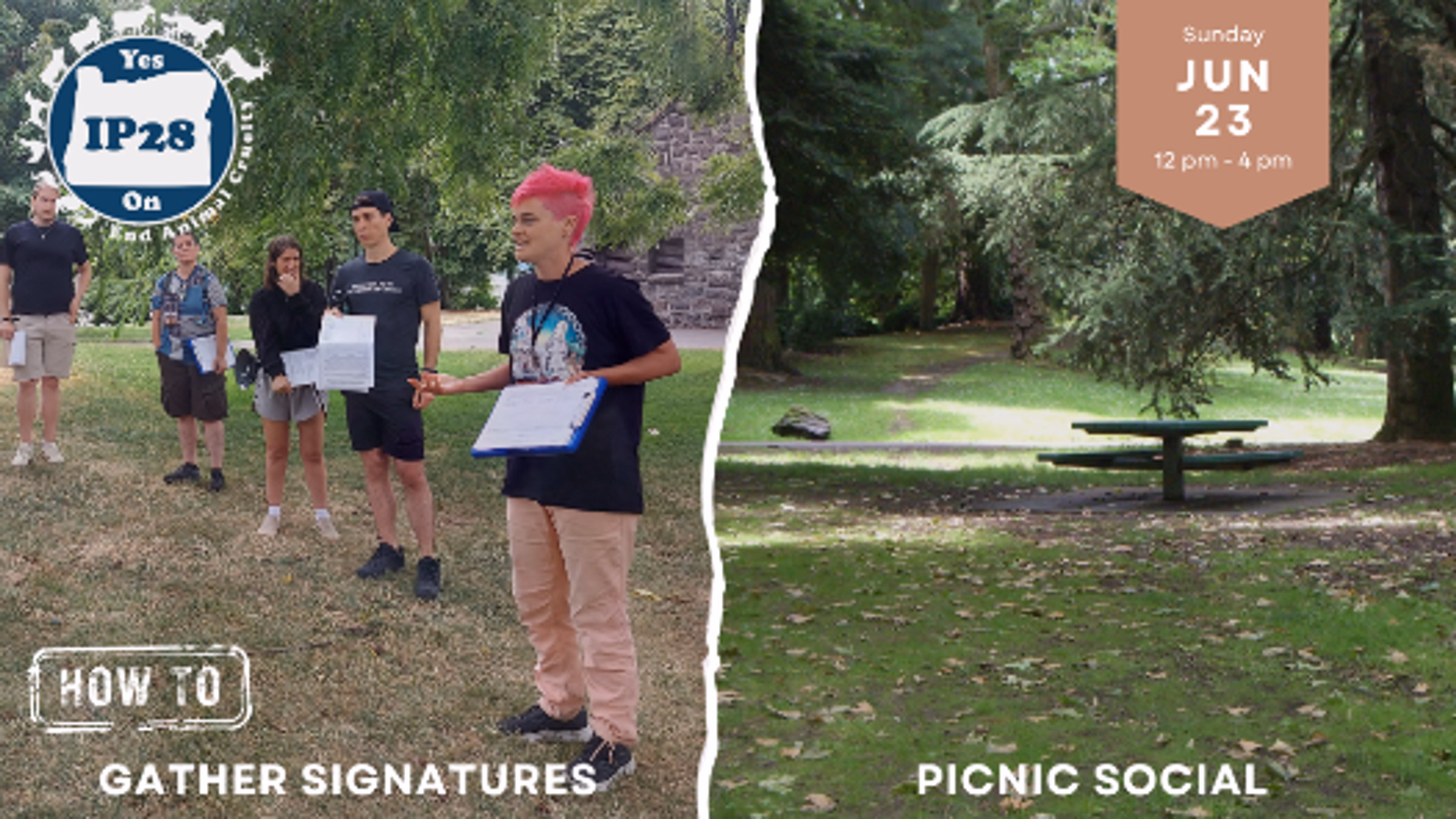 IP28 Petitioner Training + Picnic Social