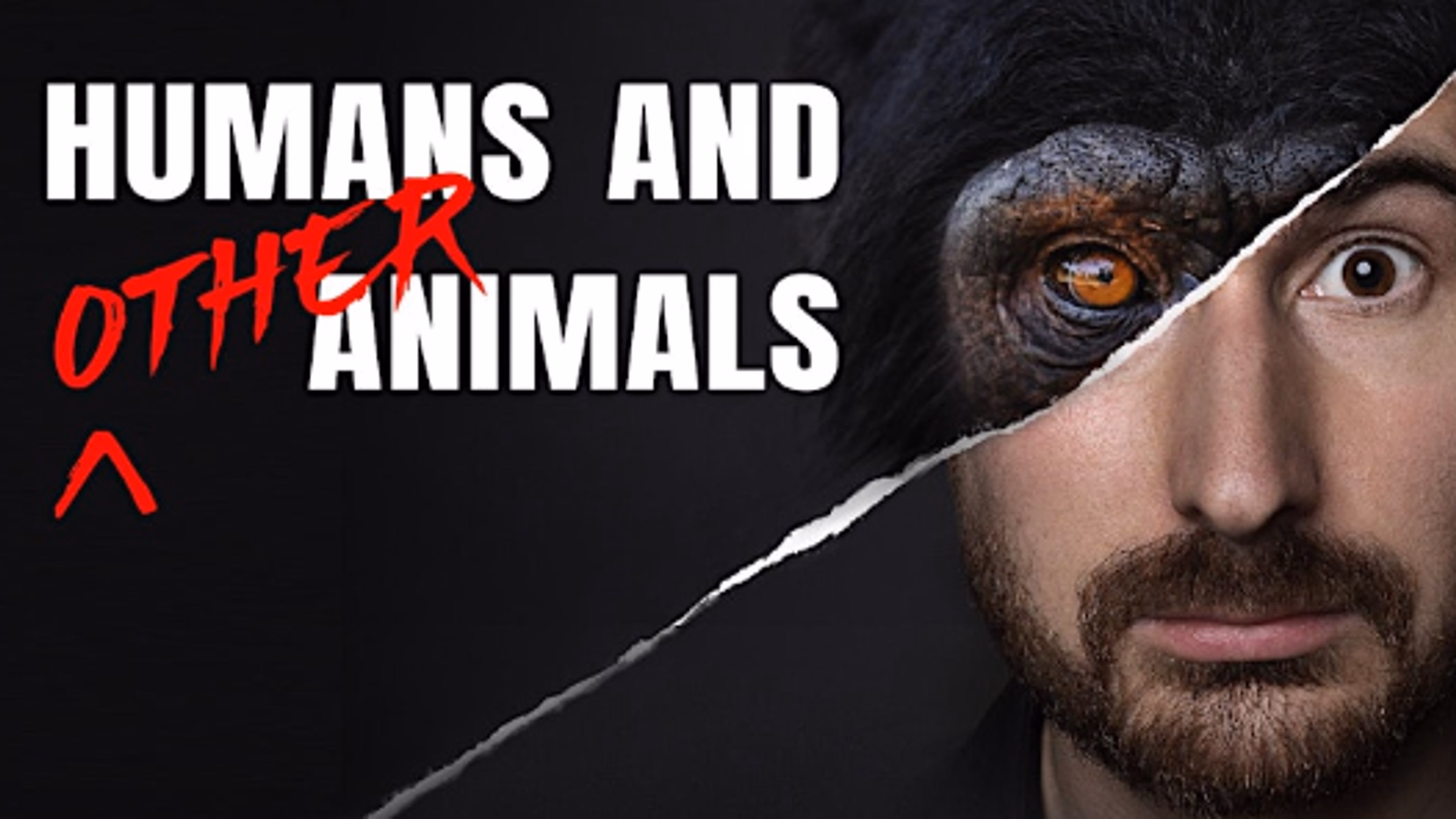 "Humans and Other Animals" TEXAS PREMIERE