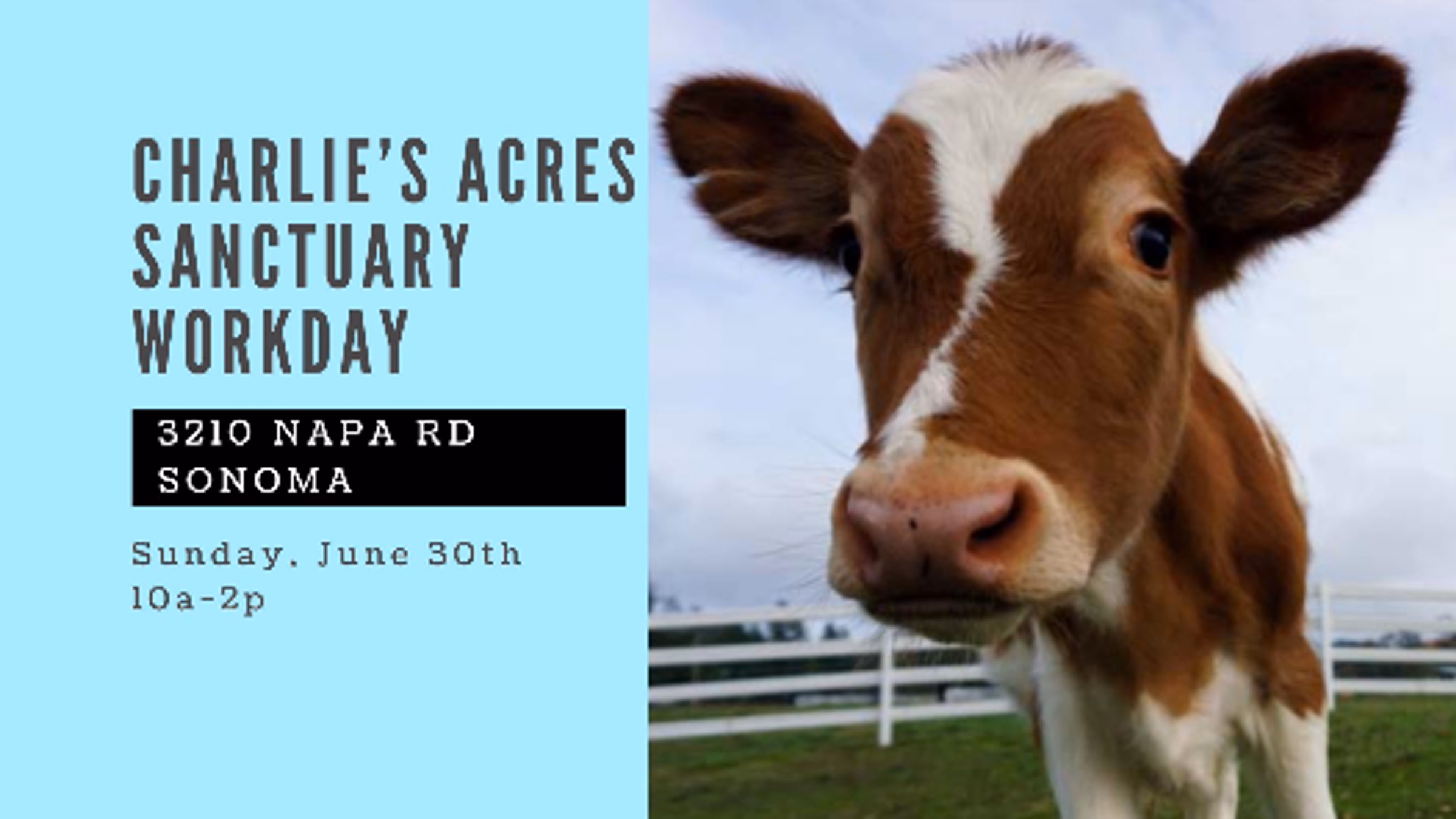 Charlie's Acres Sanctuary Workday