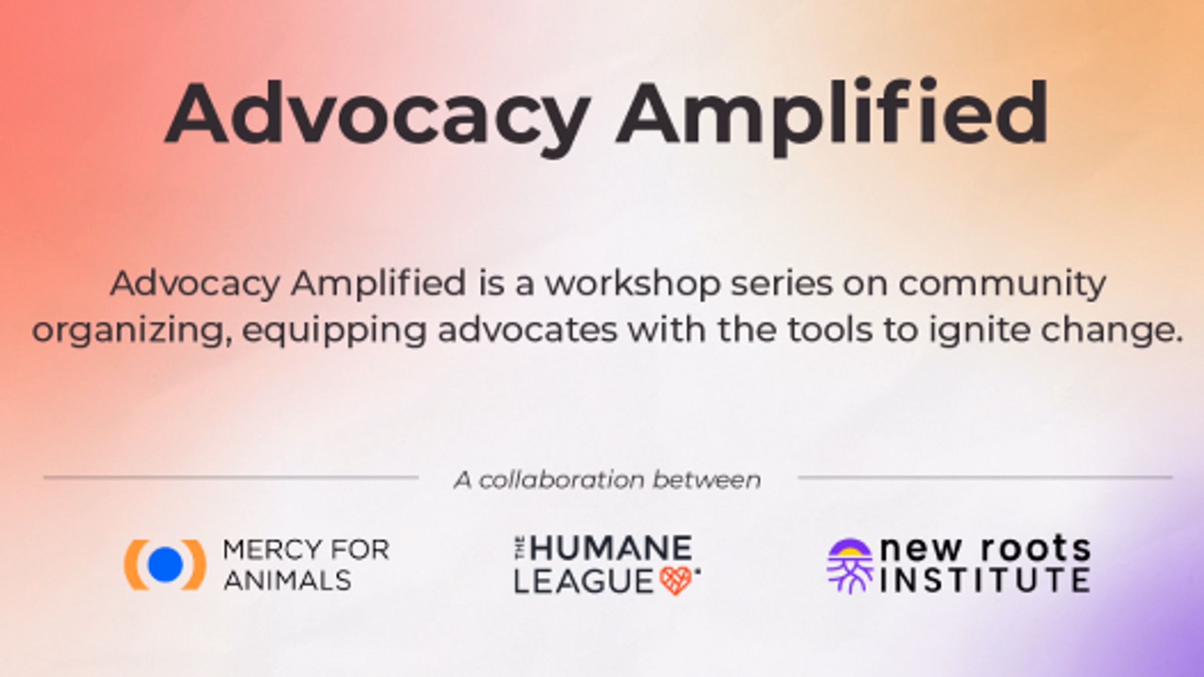 Advocacy Amplified Summer Workshop Series