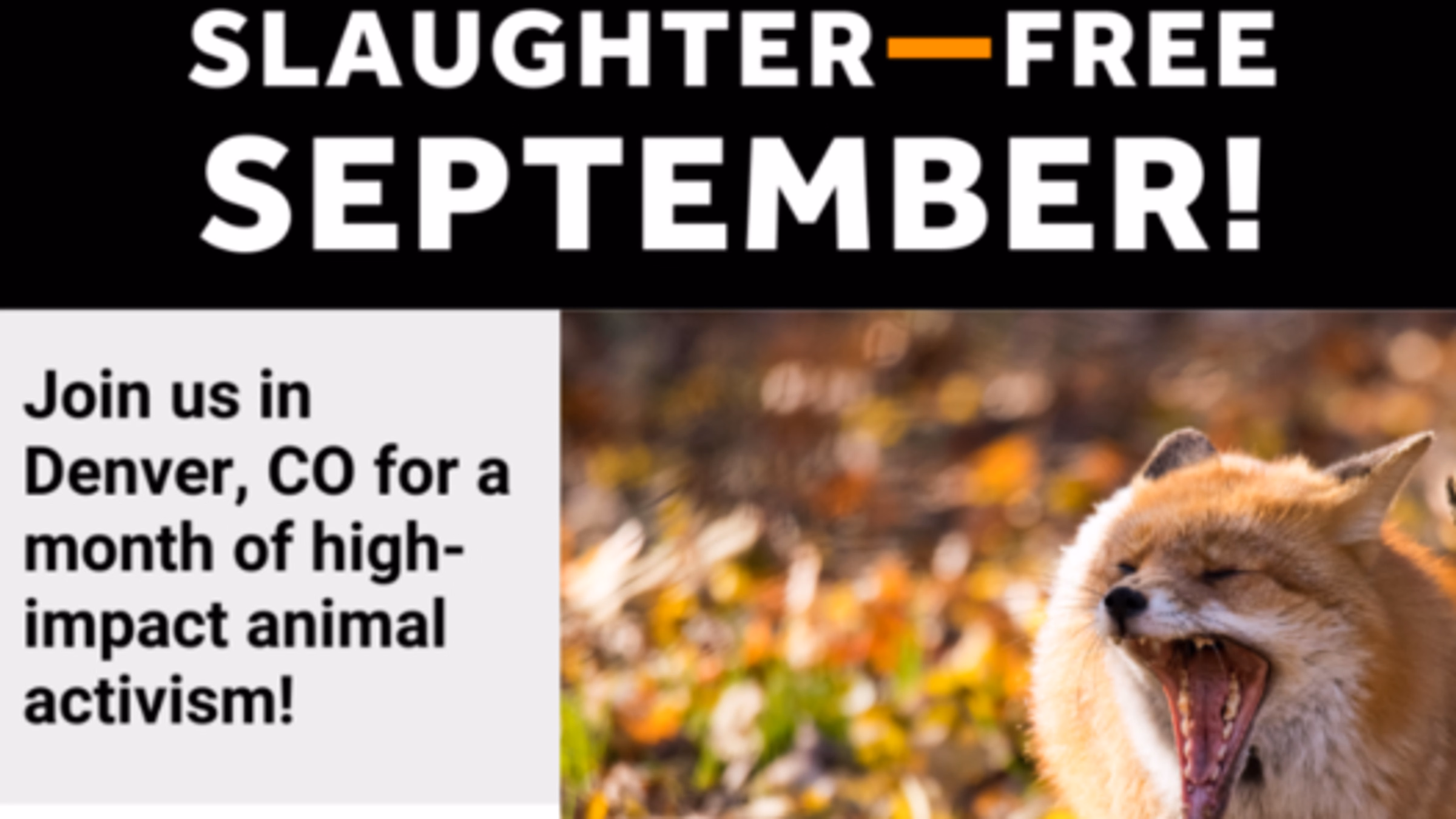 Slaughter- Free September with Pro-Animal Future!