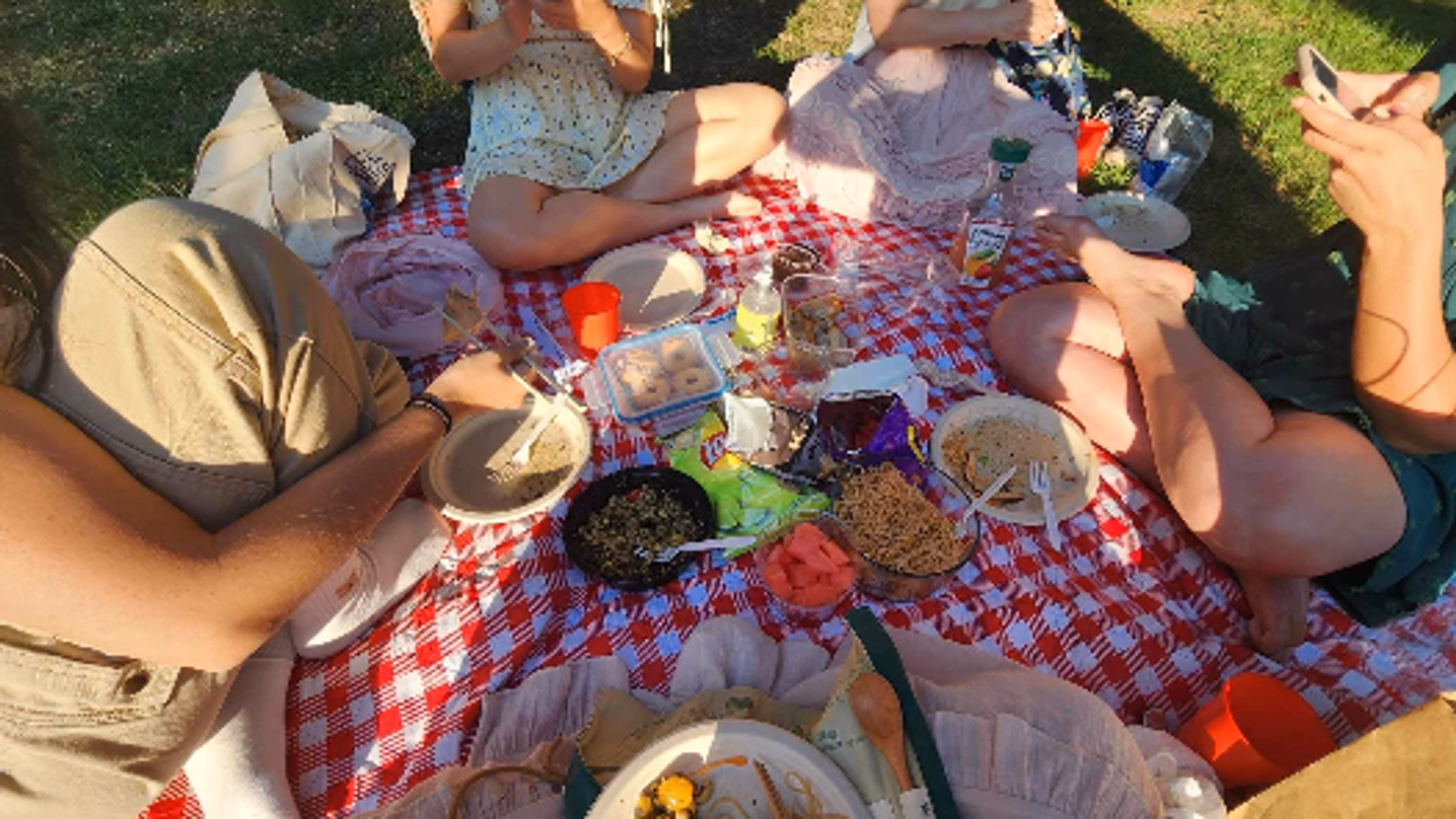 Craft + Activism Vegan Picnic with Mercy for Animals