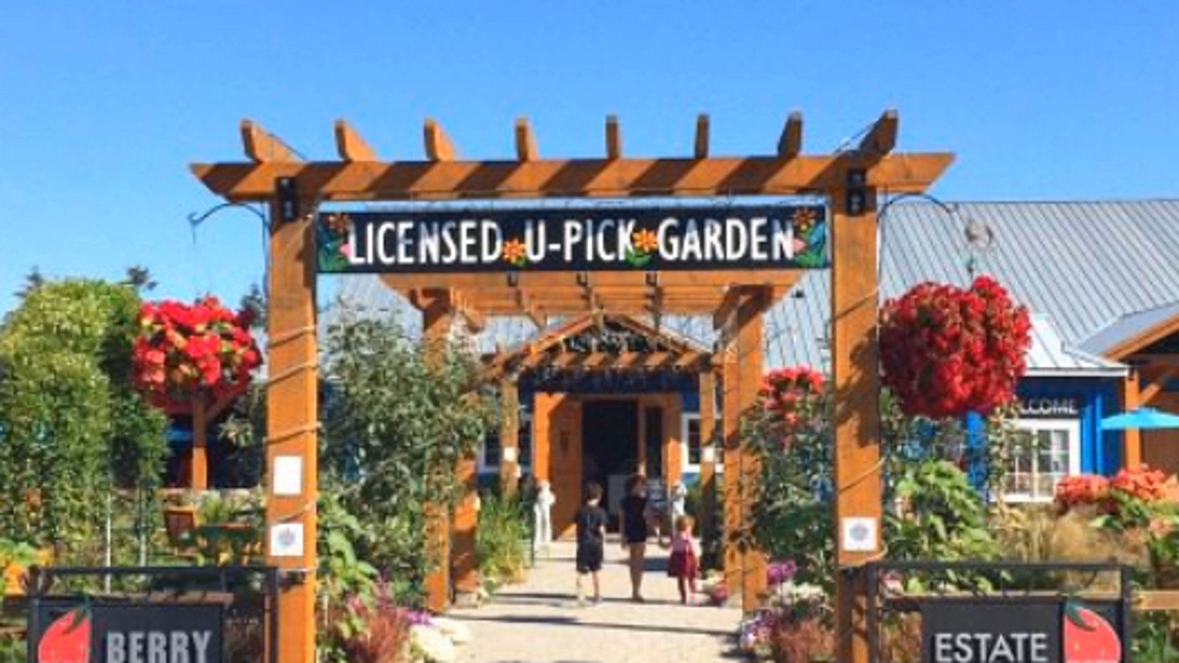 Summer Berry Picking Meetup by Vegan Girls Club!