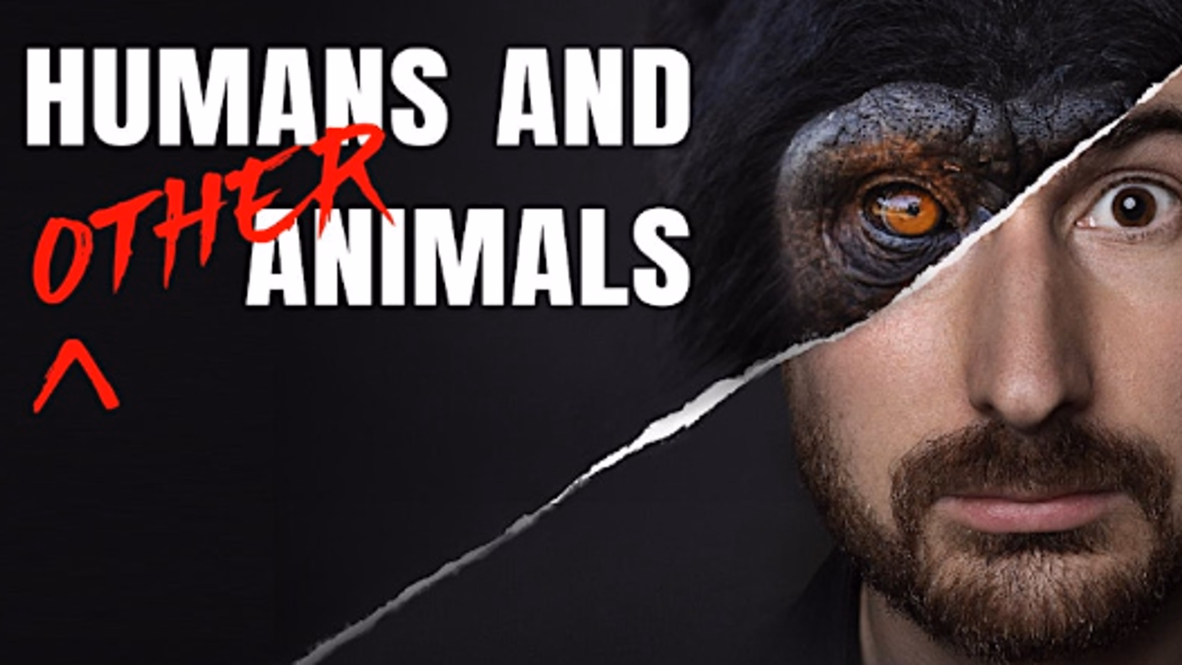"Humans and Other Animals" Dallas Premiere + Director Q&A