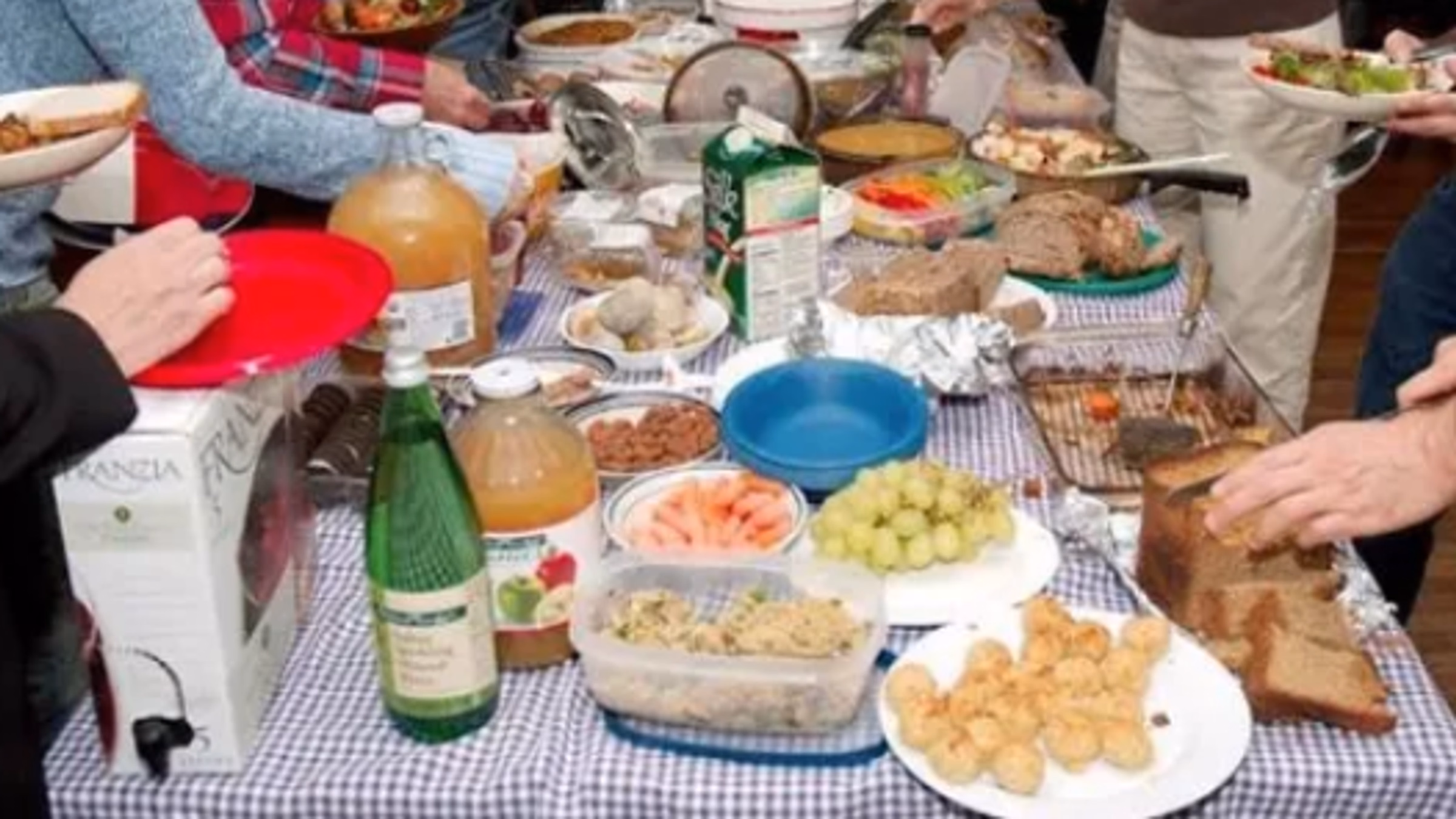 Joint Vegan Potluck Dinner with the "Veganistas"